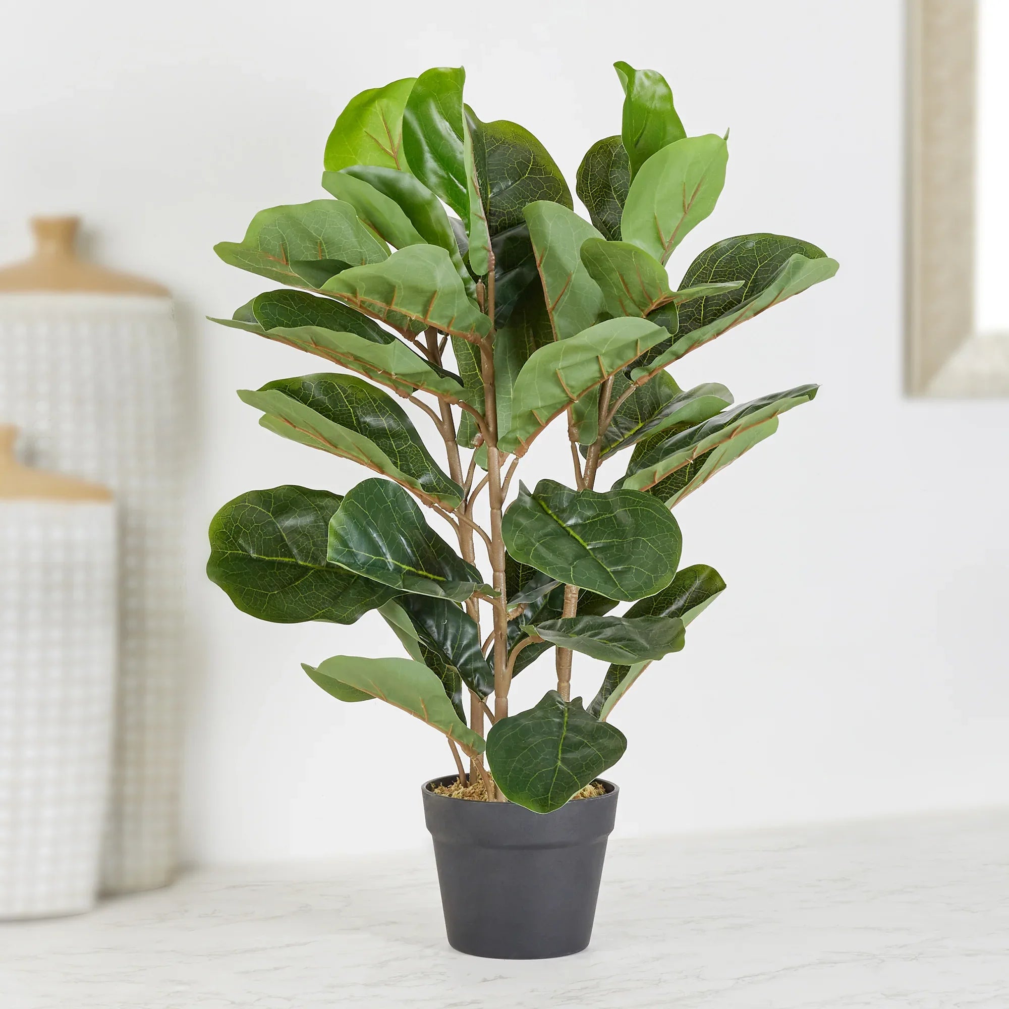Ilana Artificial Fiddle Potted Plant 70Cm in Green Colour - HomeTown