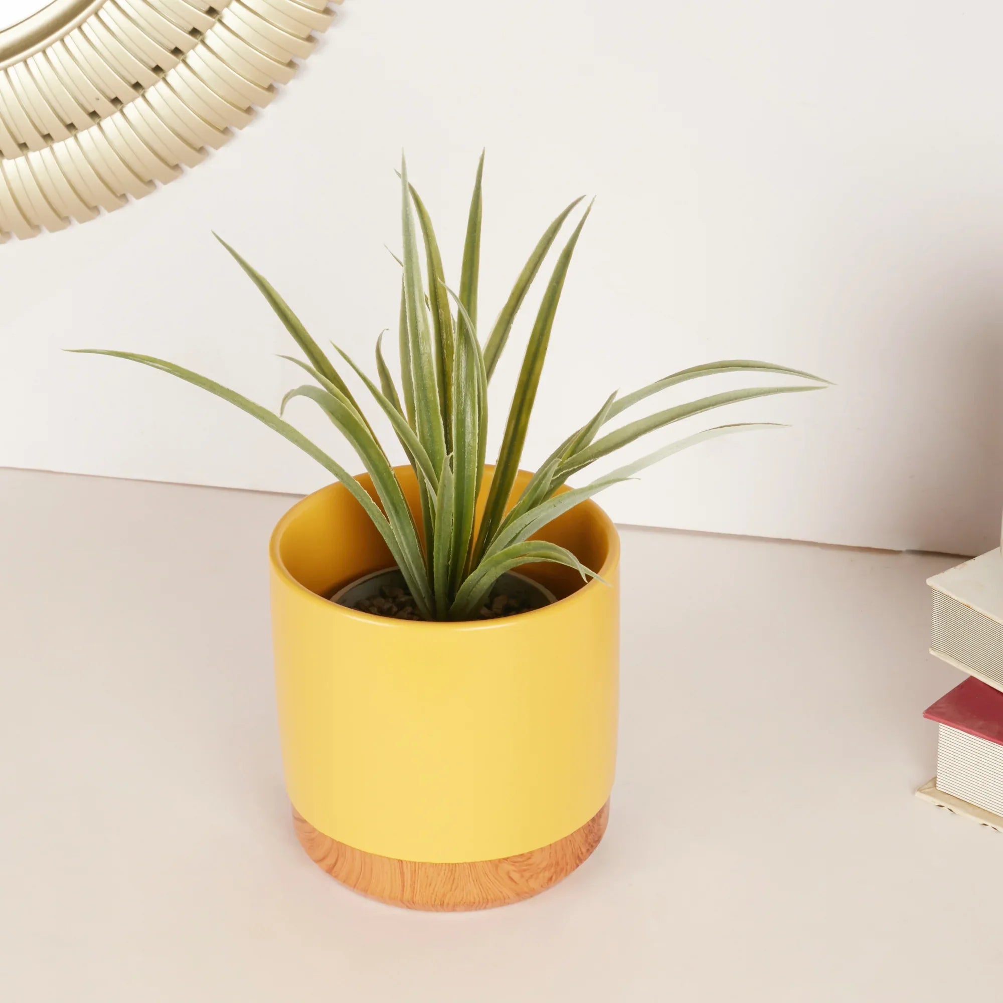 Alura Milan Ceramic Planter 13Cm in Mustard Colour - HomeTown