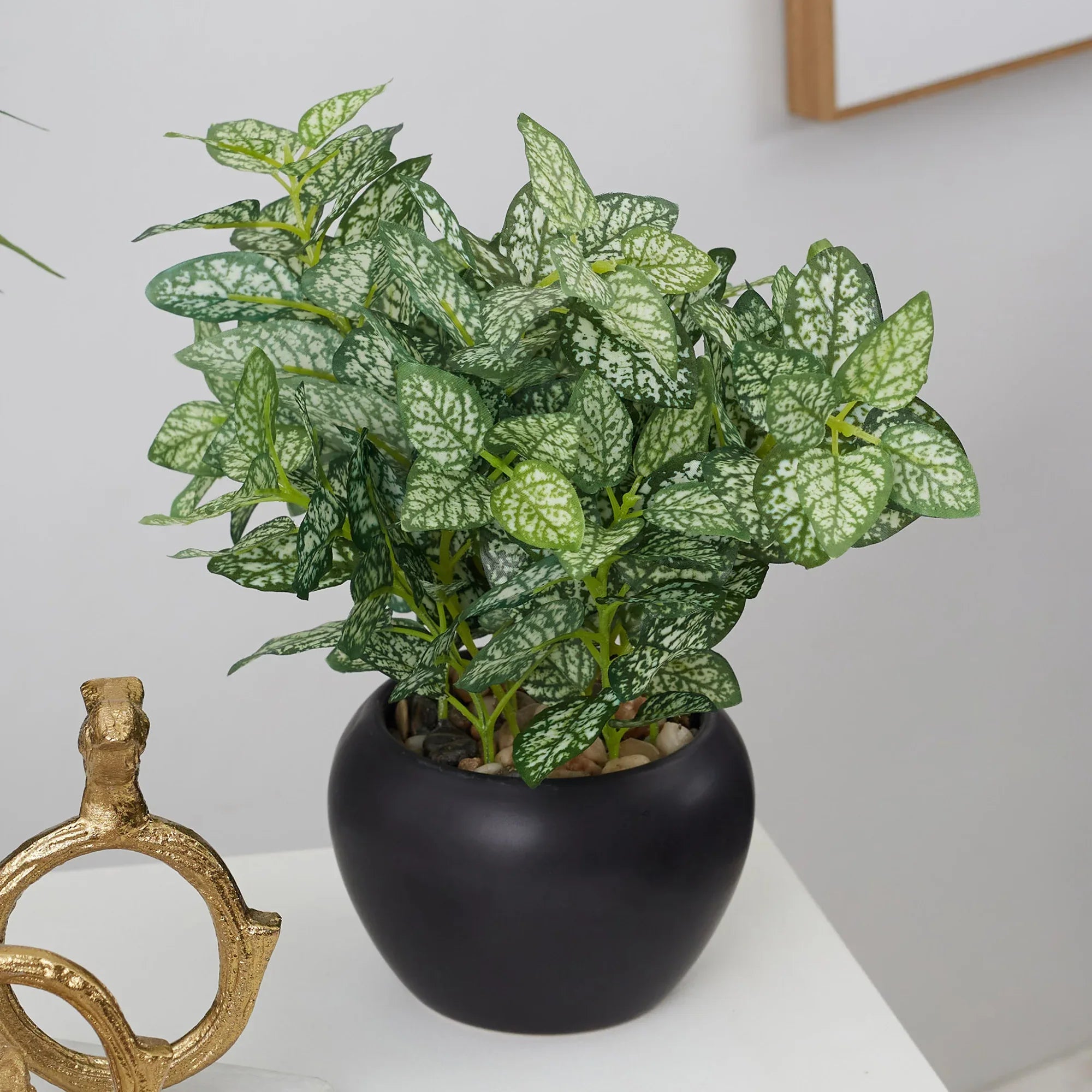 Ilana  Faux Hypoestes Ceramic Potted Plant 27 Cm in Green Colour