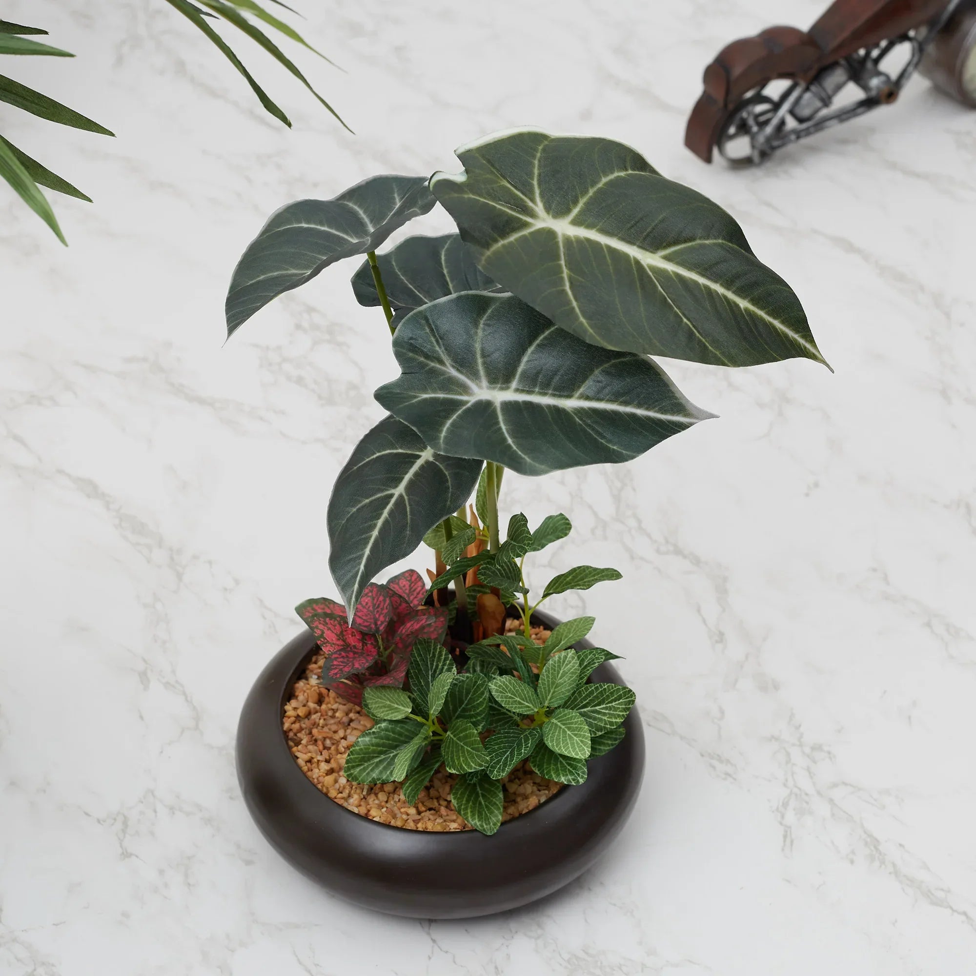 Ilana Faux Alocosia Ceramic Potted Plant 33 Cm in Green Colour - HomeTown