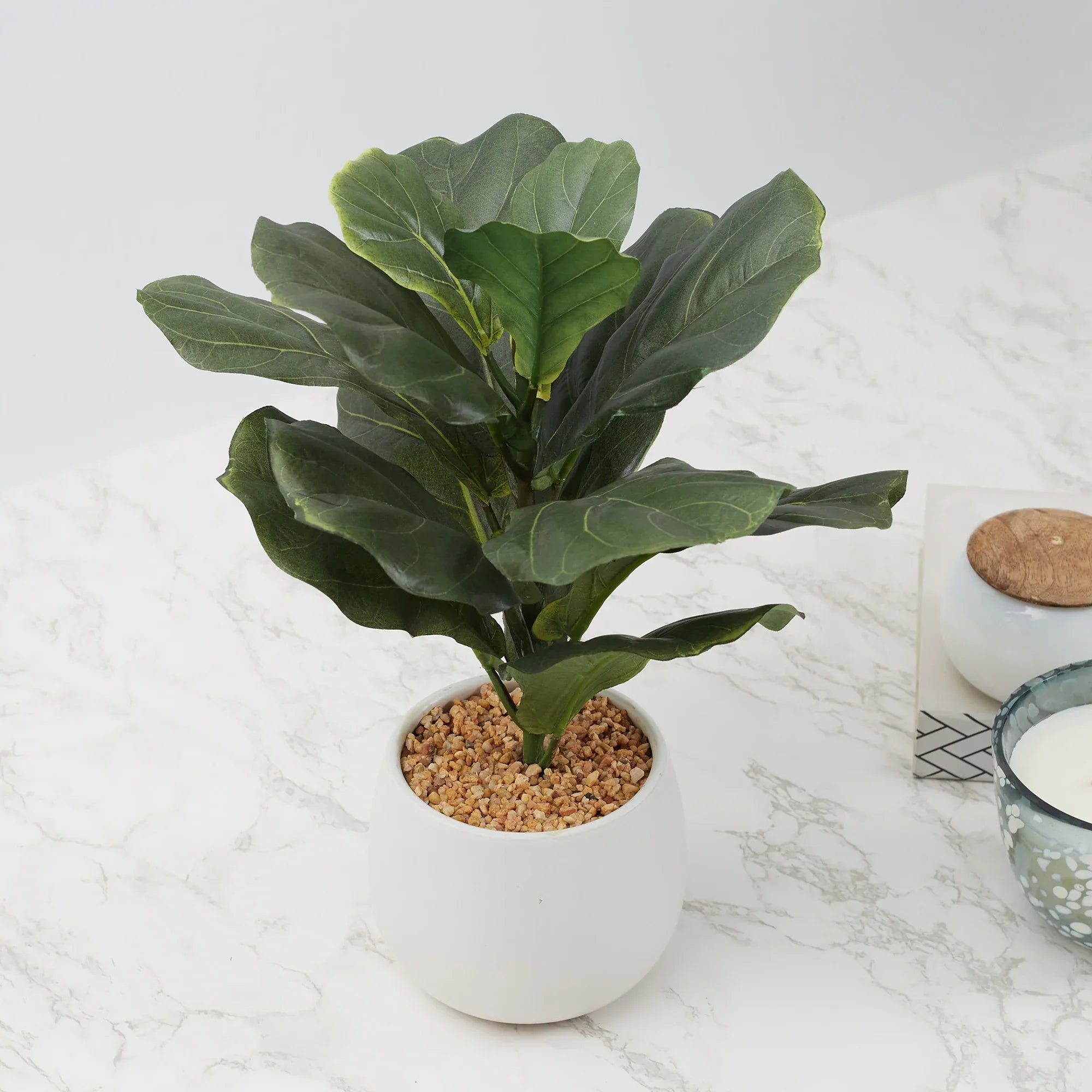 Ilana Faux Fiddle Ceramic Potted Plant 40 Cm in Green Colour - HomeTown