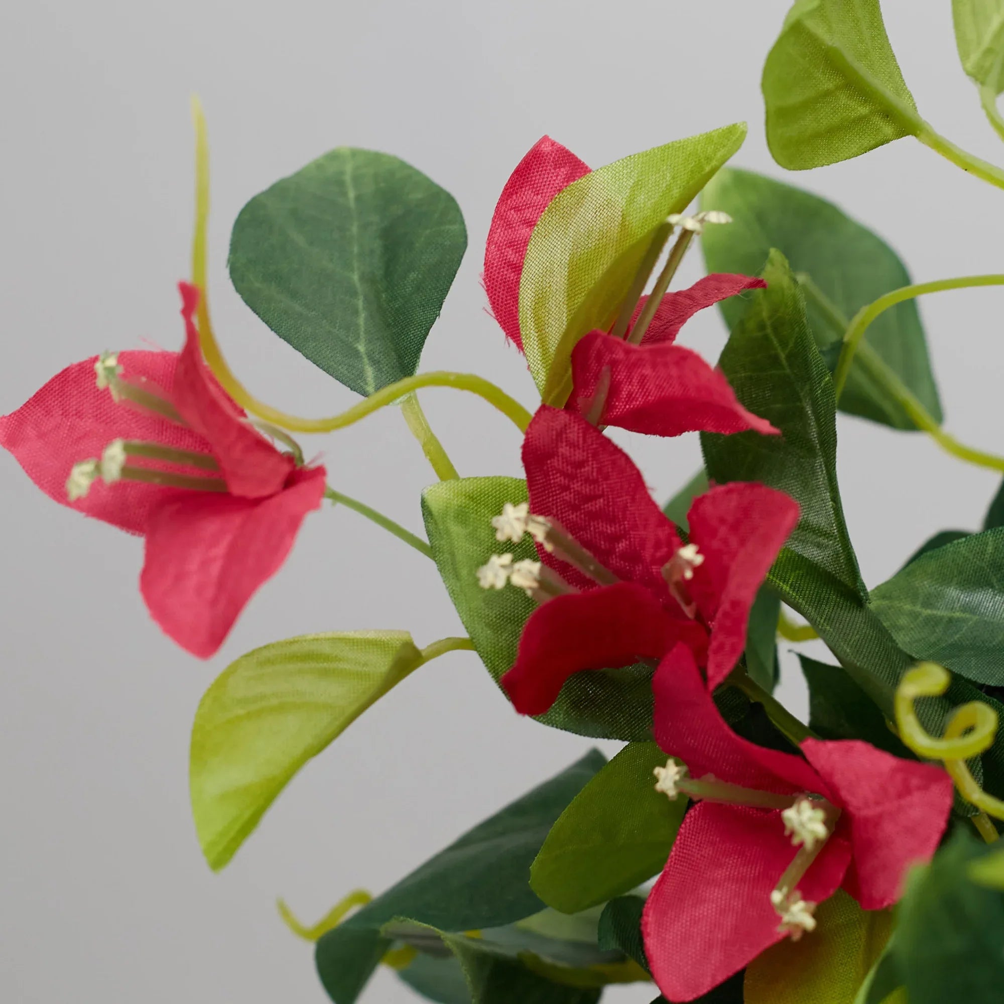 Ilana Faux Hanging Assort Leaf Ceramic Pot 60 Cm in Green Colour - HomeTown