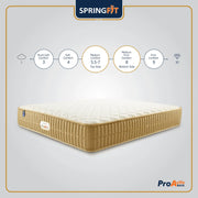 SPRINGFIT PRO-ACTIVE BACK FOAM 72x48x5 - HomeTown