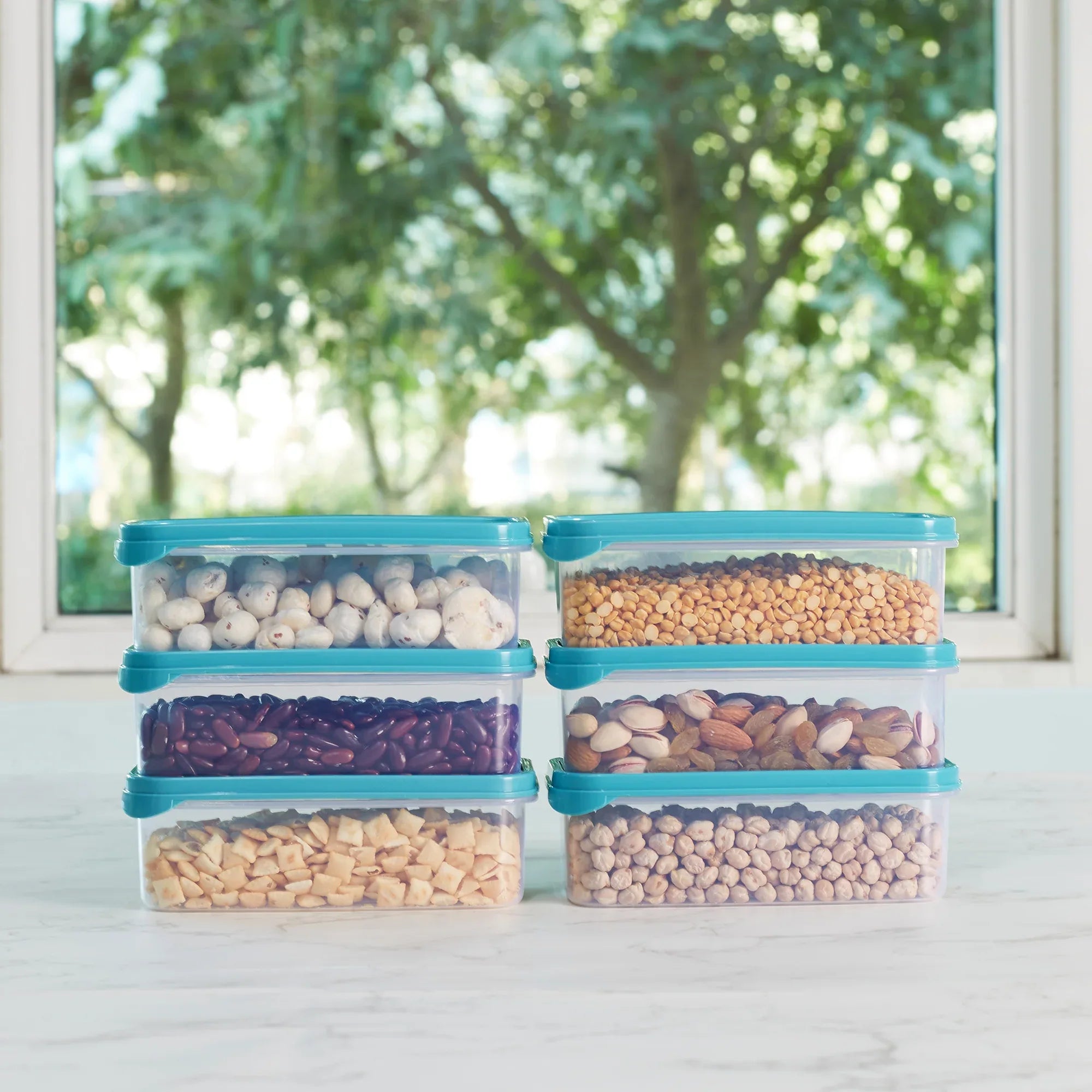 Modular Mate Plastic Rectangular Container 800ml Set of 6 in Teal & Transparent Colour - HomeTown