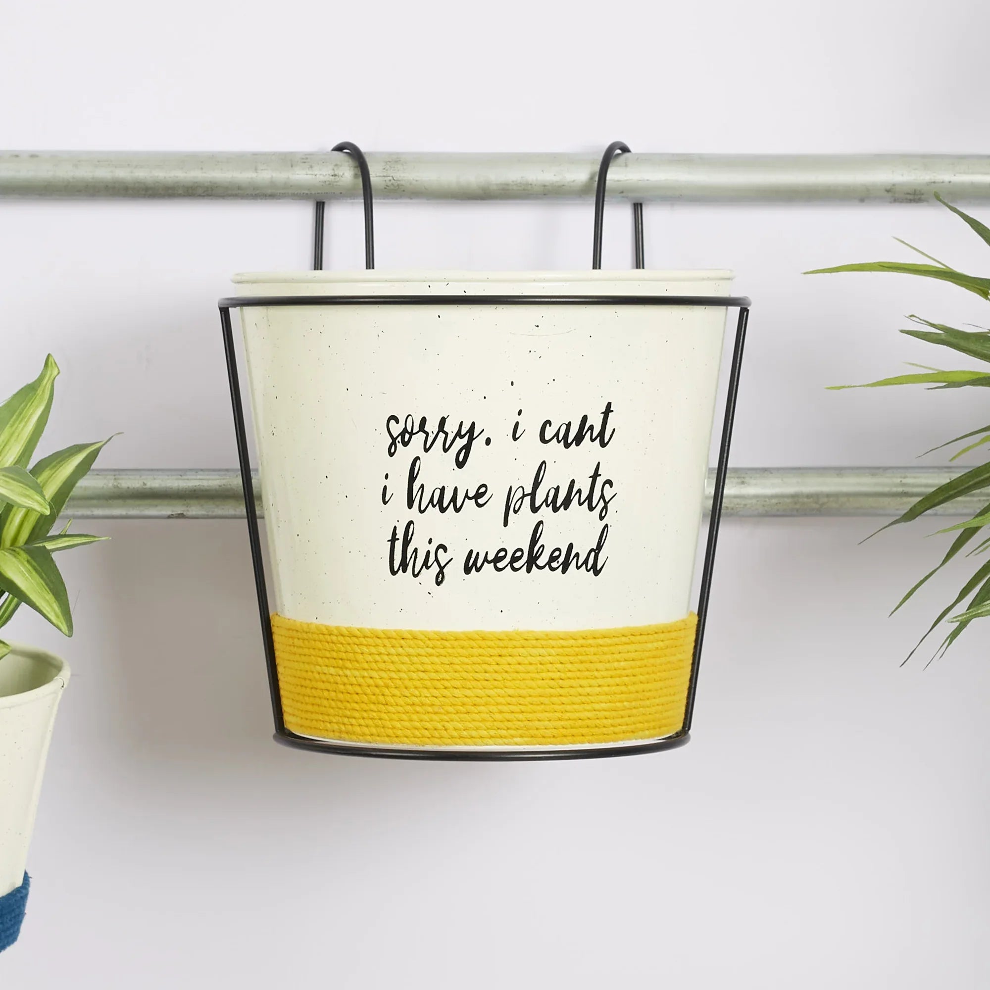 Pep Pop Metal Quote Railing Planter 26Cm in Off White & Yellow Colour - HomeTown