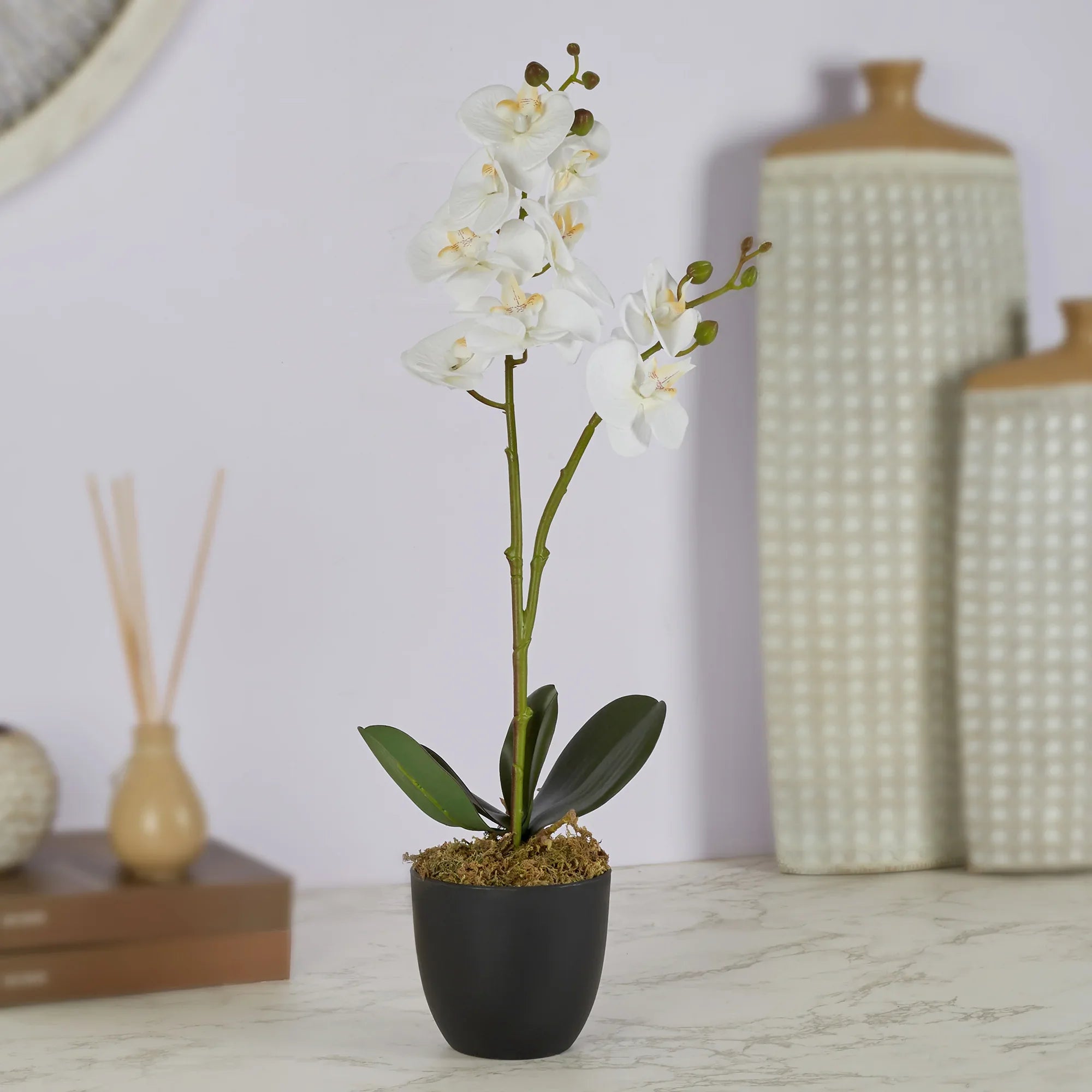 Ilana Artificial Orchid Potted Plant 40Cm in White Colour - HomeTown