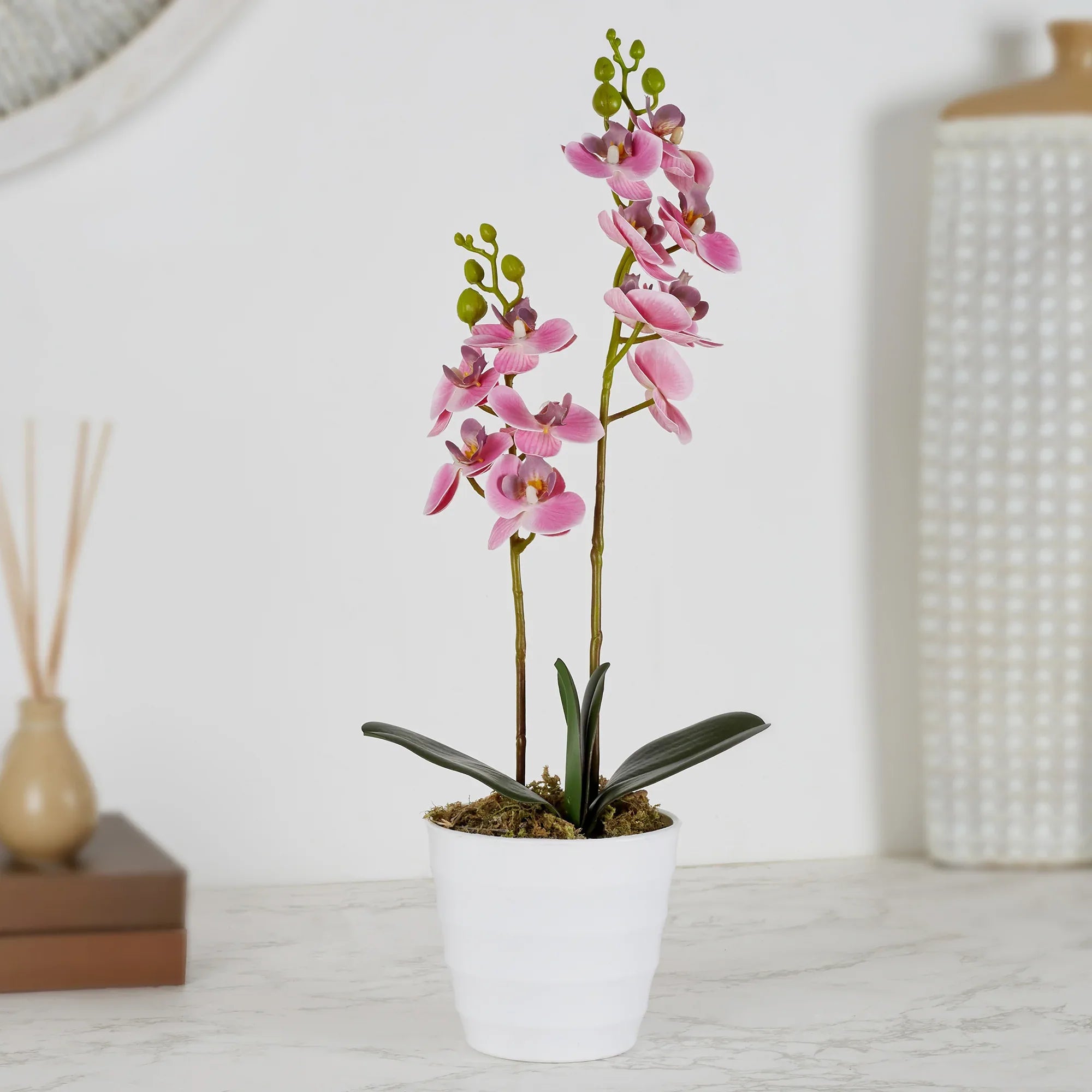 Ilana Artificial Orchid Potted Plant 40Cm in Pink Colour - HomeTown
