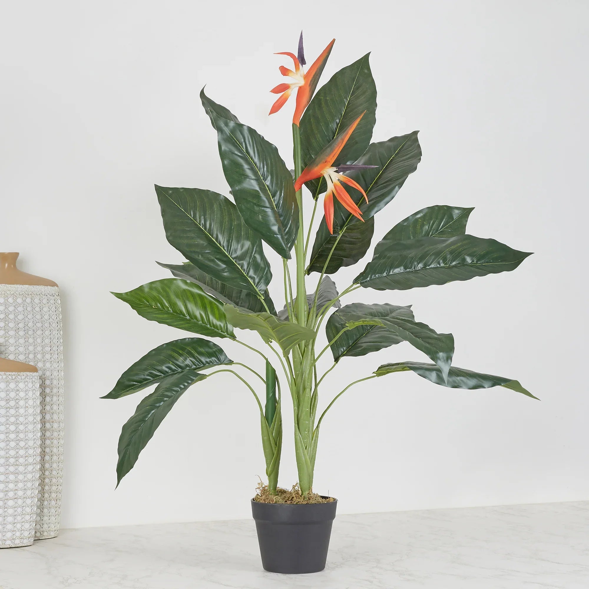 Ilana Artificial Paradise Bird Potted Plant 100Cm in Green Colour - HomeTown