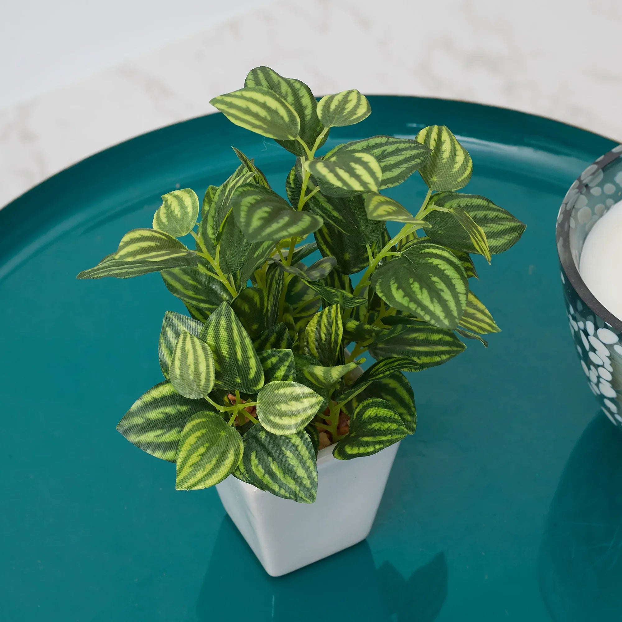 Ilana Faux Peperomia Ceramic Potted Plant 19 Cm in Green Colour - HomeTown