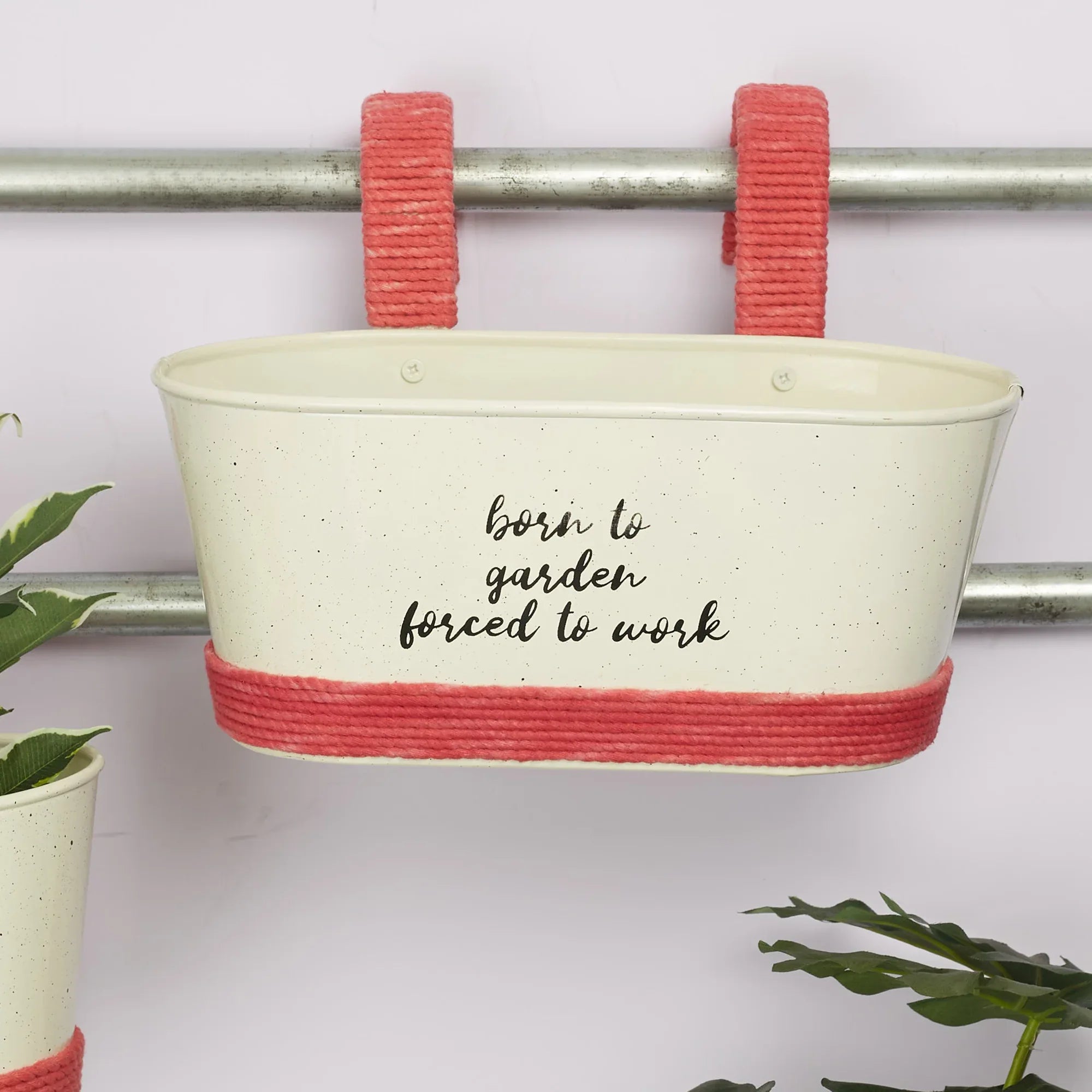 Pep Pop Metal Funky Quote Railing Planter 28X19Cm in Off White & Fuchsia Colour - HomeTown