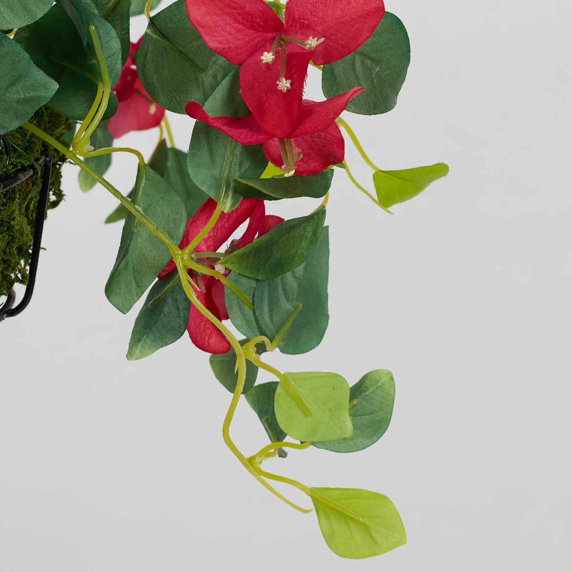 Ilana Faux Hanging Bougainvillea With Pot 54 Cm in Fuschia Colour - HomeTown