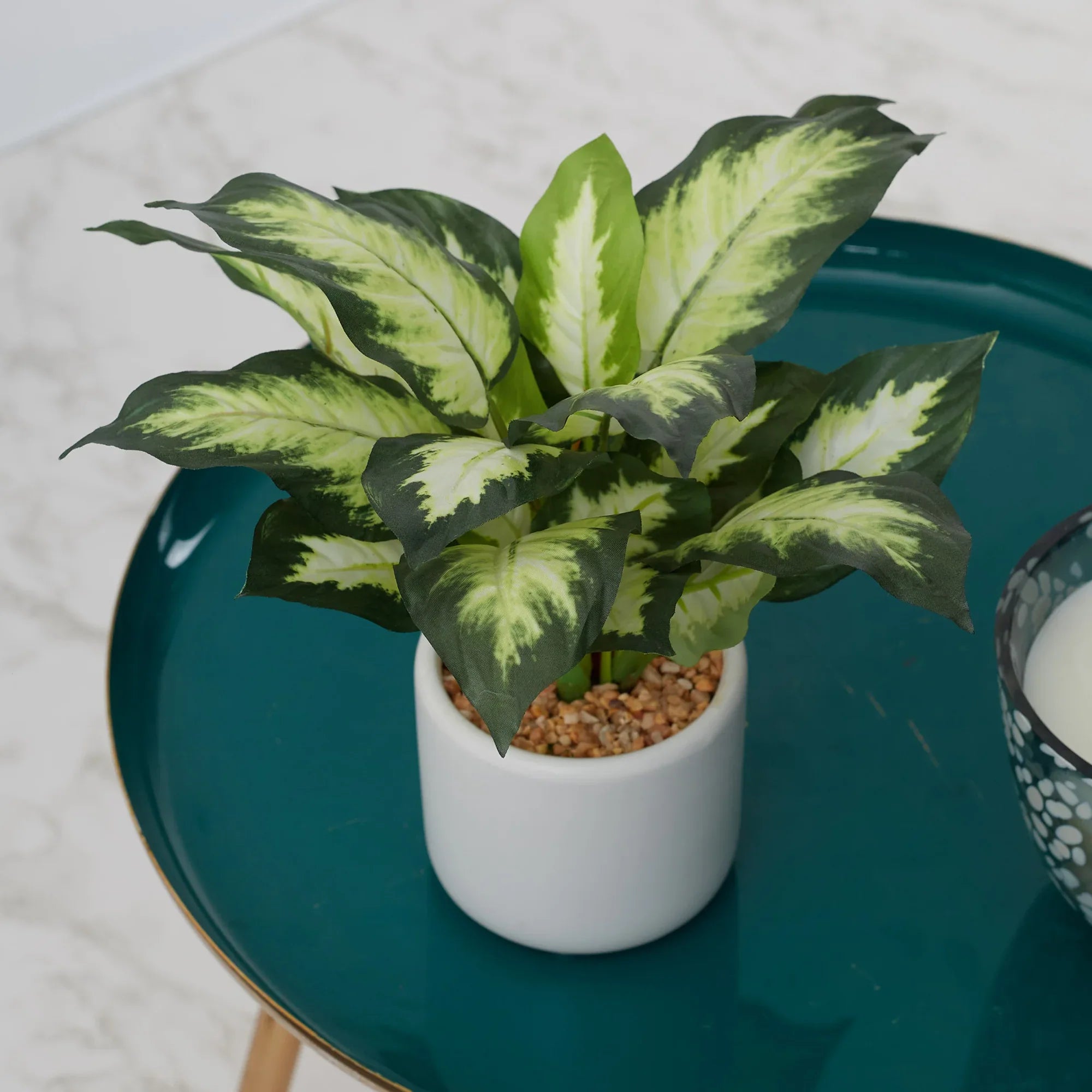 Ilana Faux Dieffnbchia 2 Ceramic Potted Plant 25 Cm in Green Colour - HomeTown
