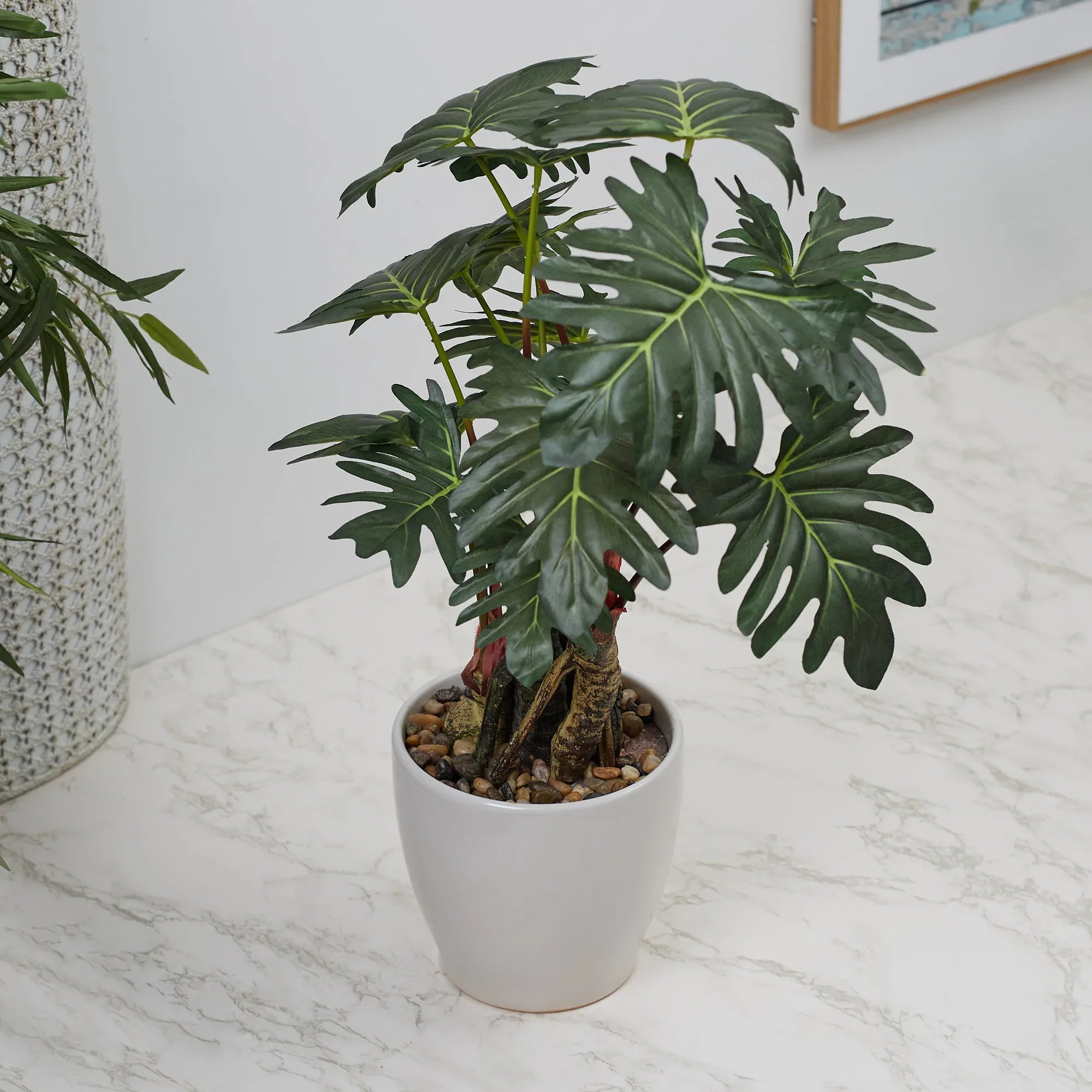 Ilana Faux Philodendron Ceramic Potted Plant 56 Cm in Green Colour - HomeTown