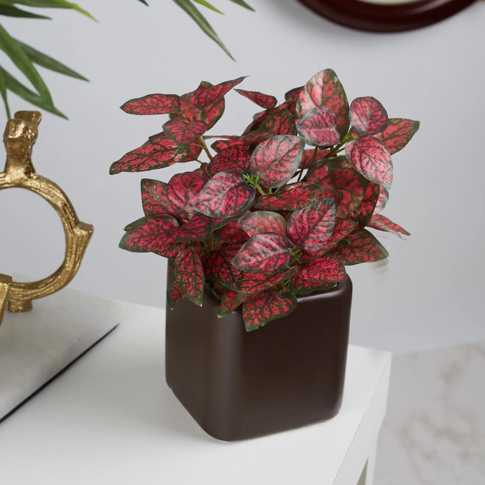 Ilana Faux Hypoestes Ceramic Potted Plant 20 Cm in Red Colour - HomeTown