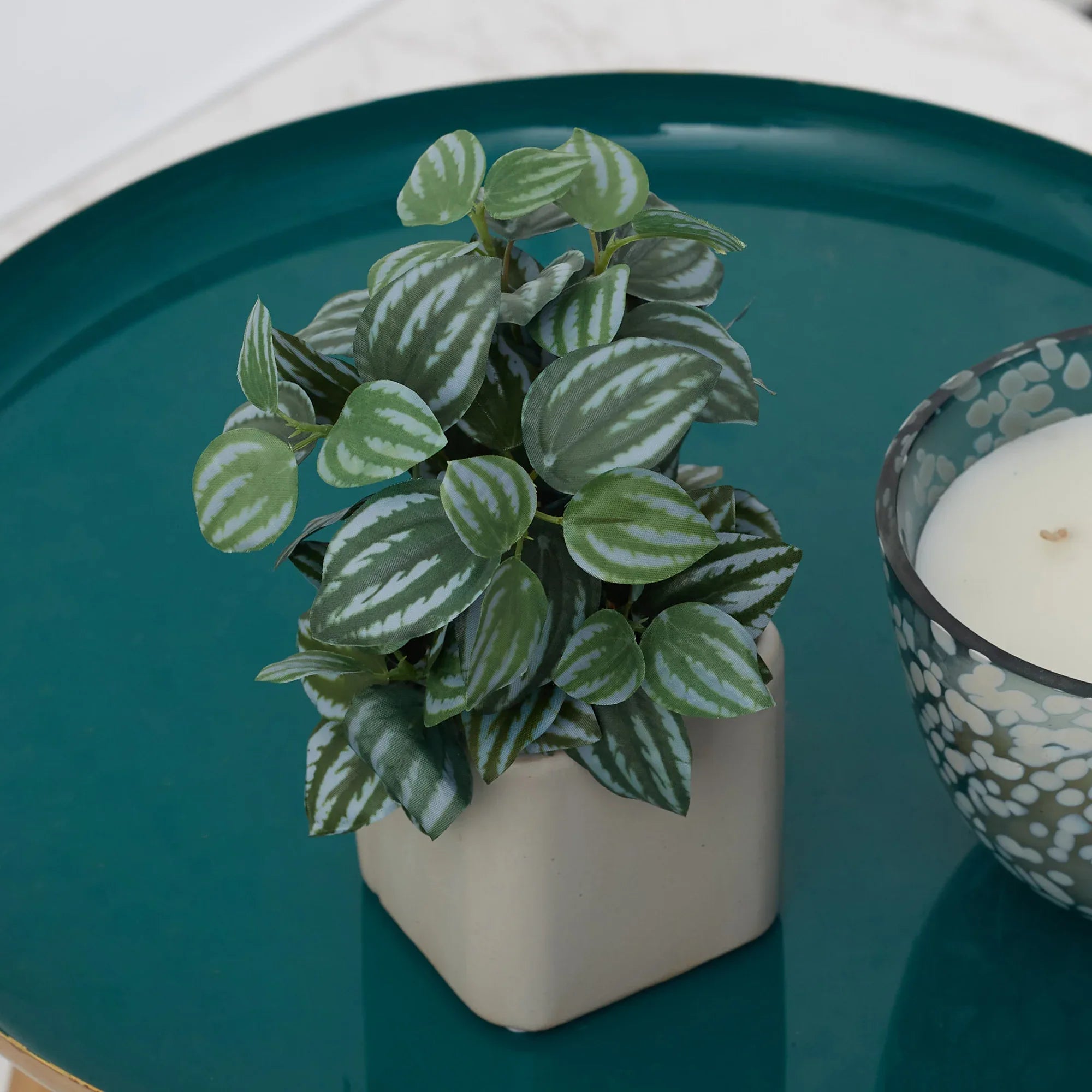 Ilana Faux Peperomia Ceramic Potted Plant 20 Cm in Green Colour - HomeTown