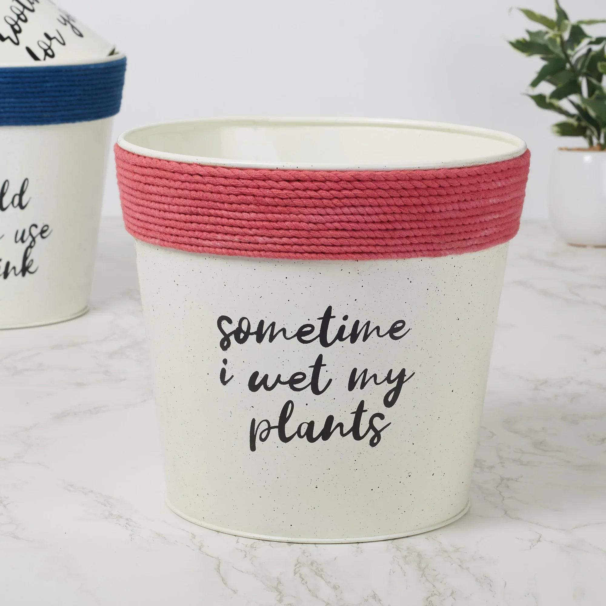 Pep Pop Metal Funky Quote Planter 19Cm in Off White & Fuchsia Colour - HomeTown