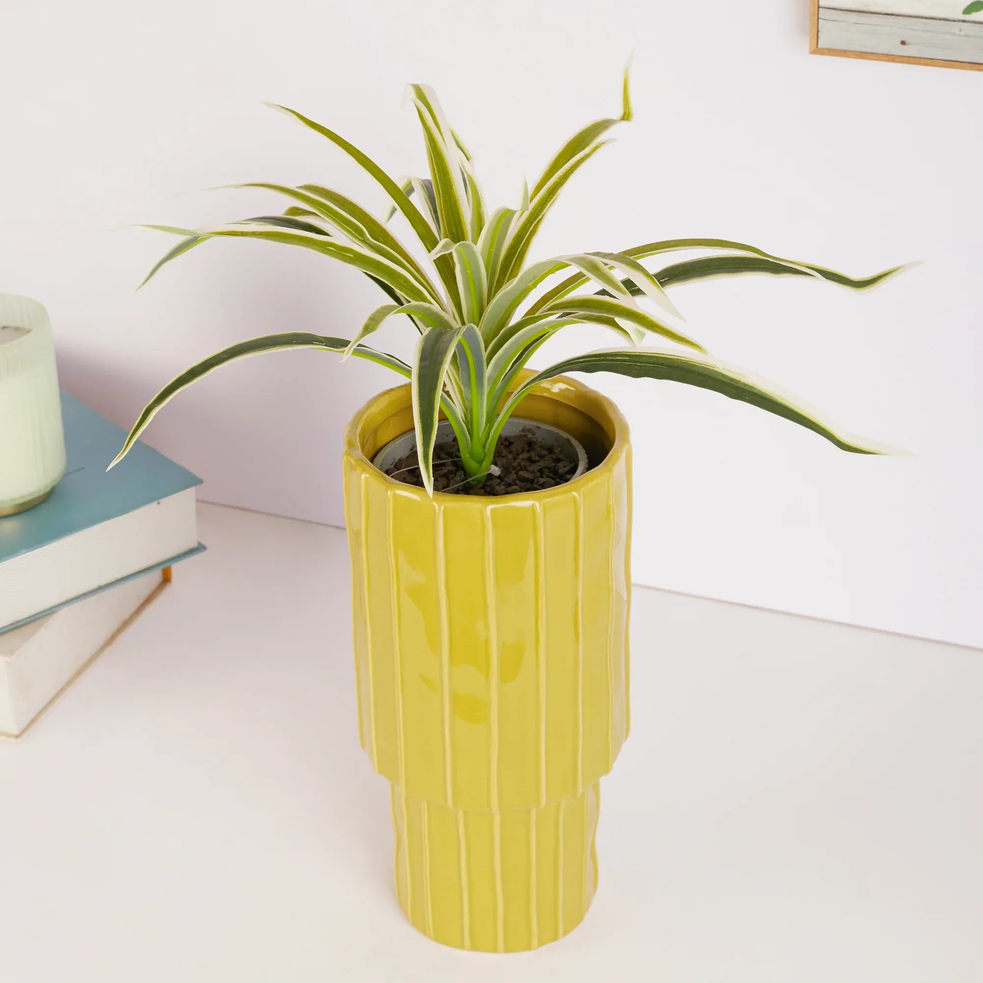 Alura Tropical Glossy Ceramic Planter 26Cm in Green Colour - HomeTown