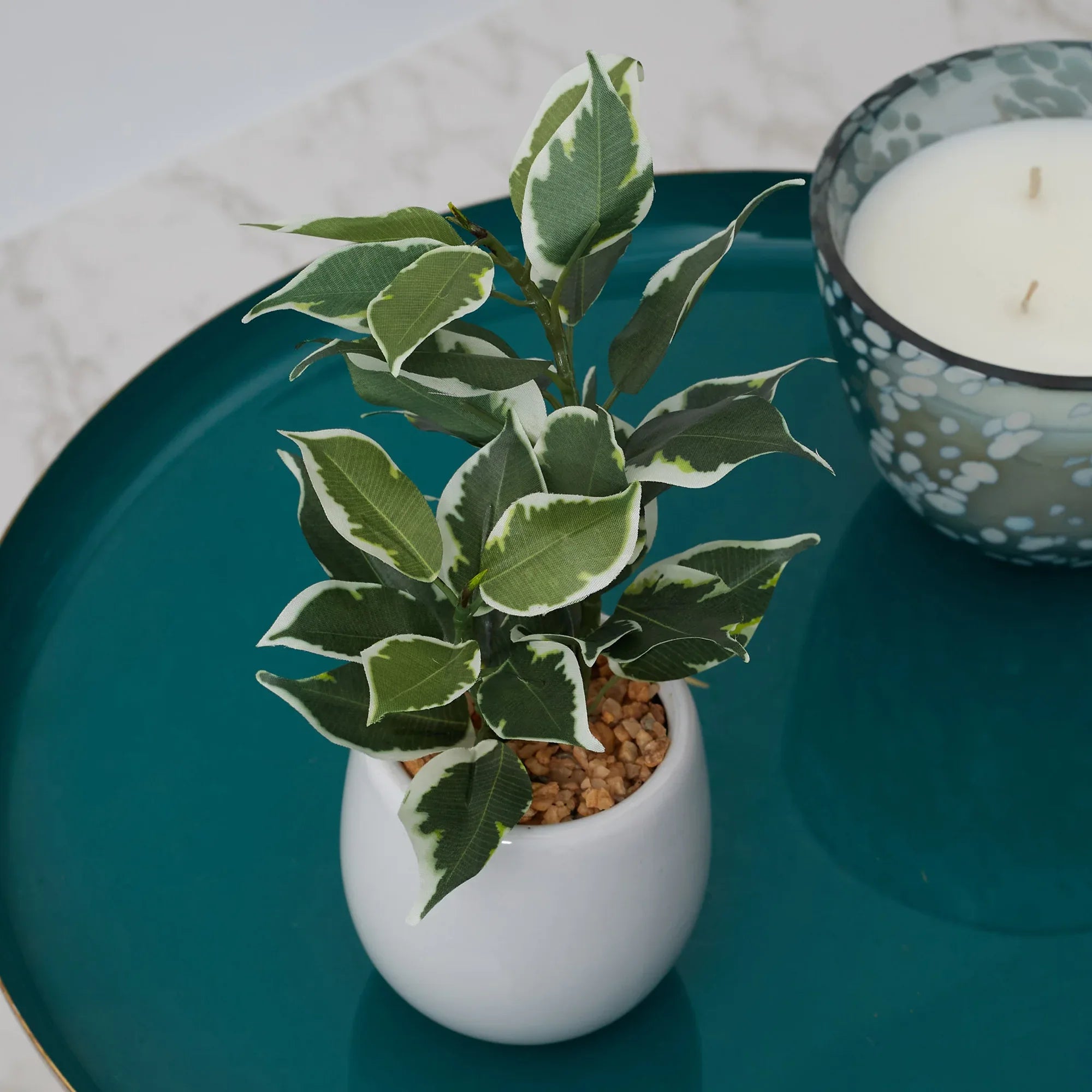 Ilana Faux Quercus Ceramic Potted Plant 23 Cm in Green Colour - HomeTown