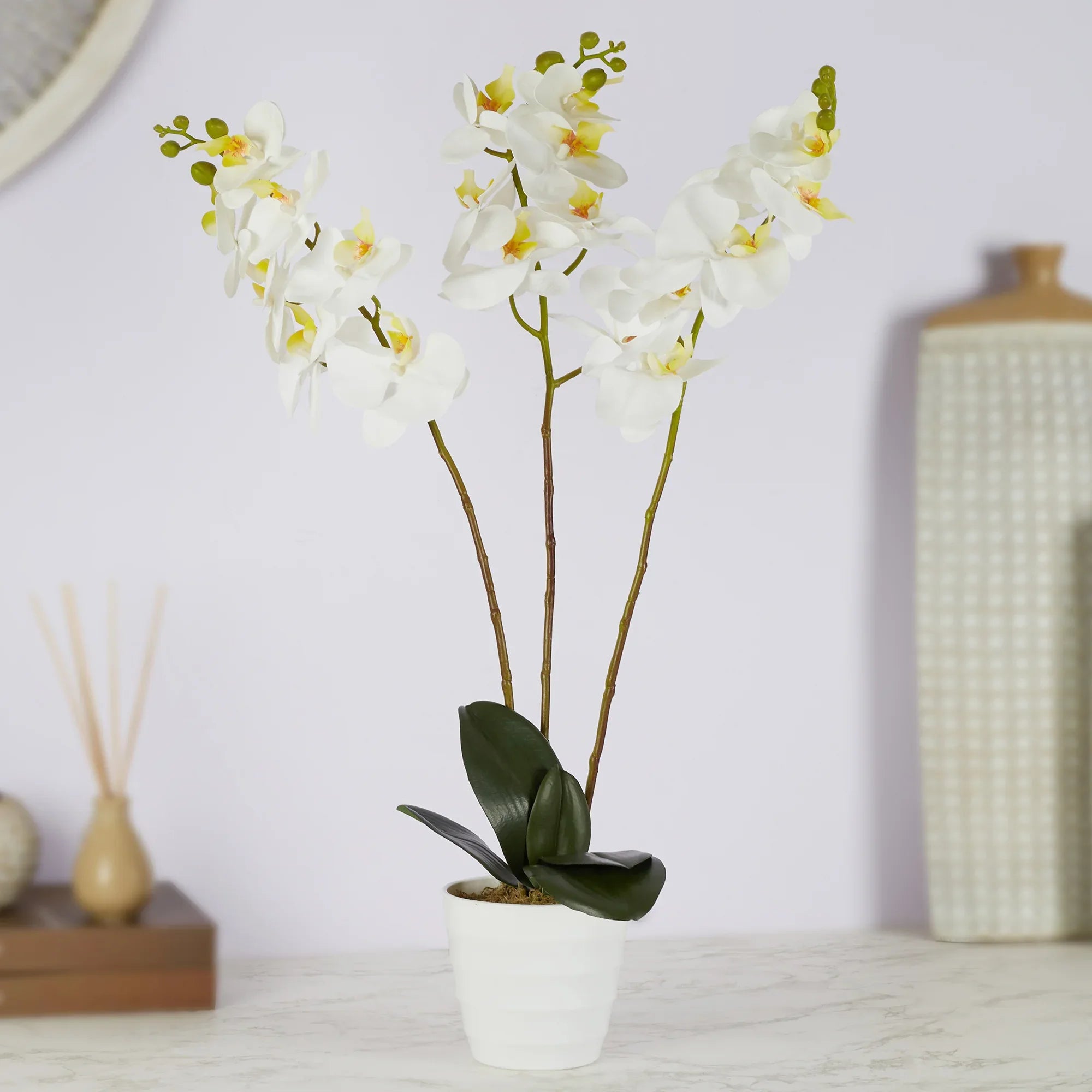 Ilana Artificial Orchid Potted Plant 55Cm in White Colour - HomeTown