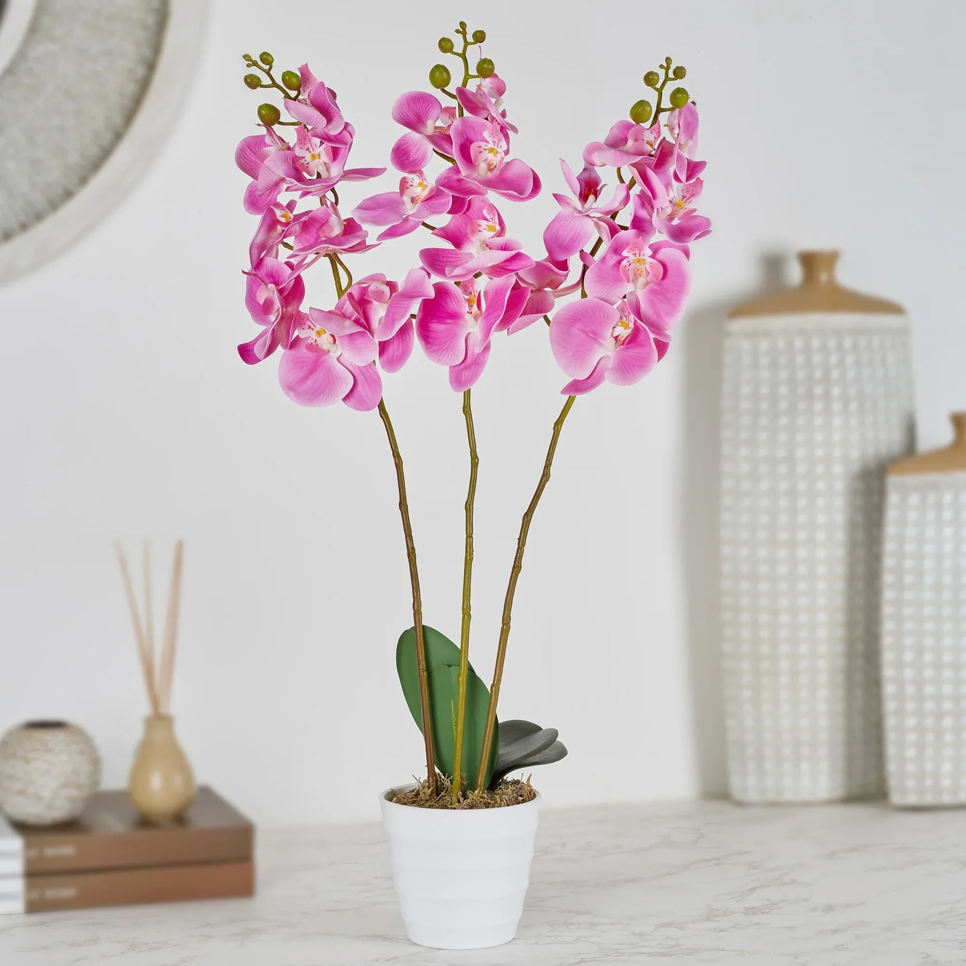 Ilana Artificial Orchid Potted Plant 55Cm in Pink Colour – HomeTown