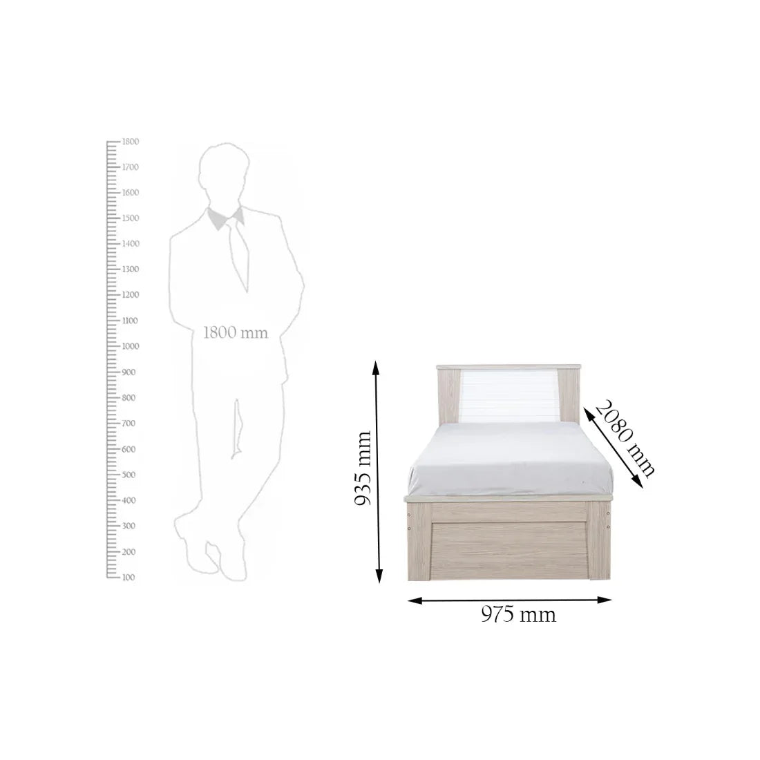 Ambra Single Bed without storage in Oak Colour - HomeTown