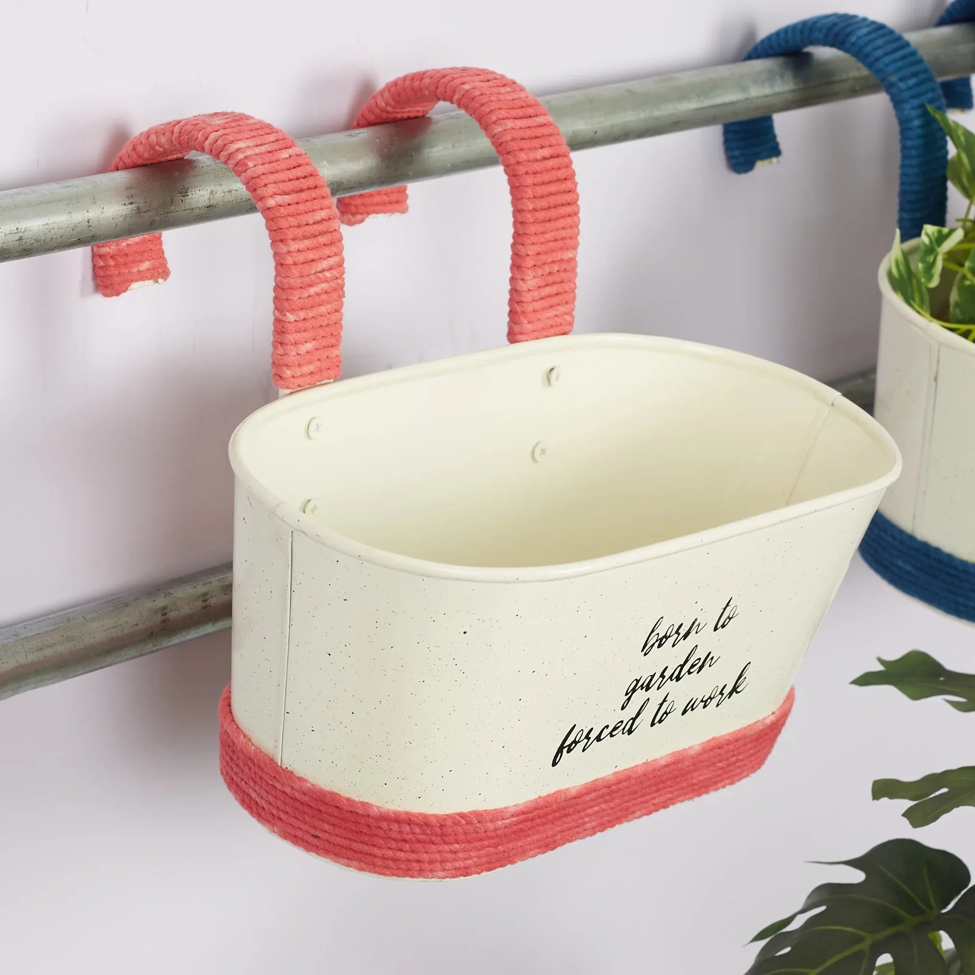 Pep Pop Metal Funky Quote Railing Planter 28X19Cm in Off White & Fuchsia Colour - HomeTown