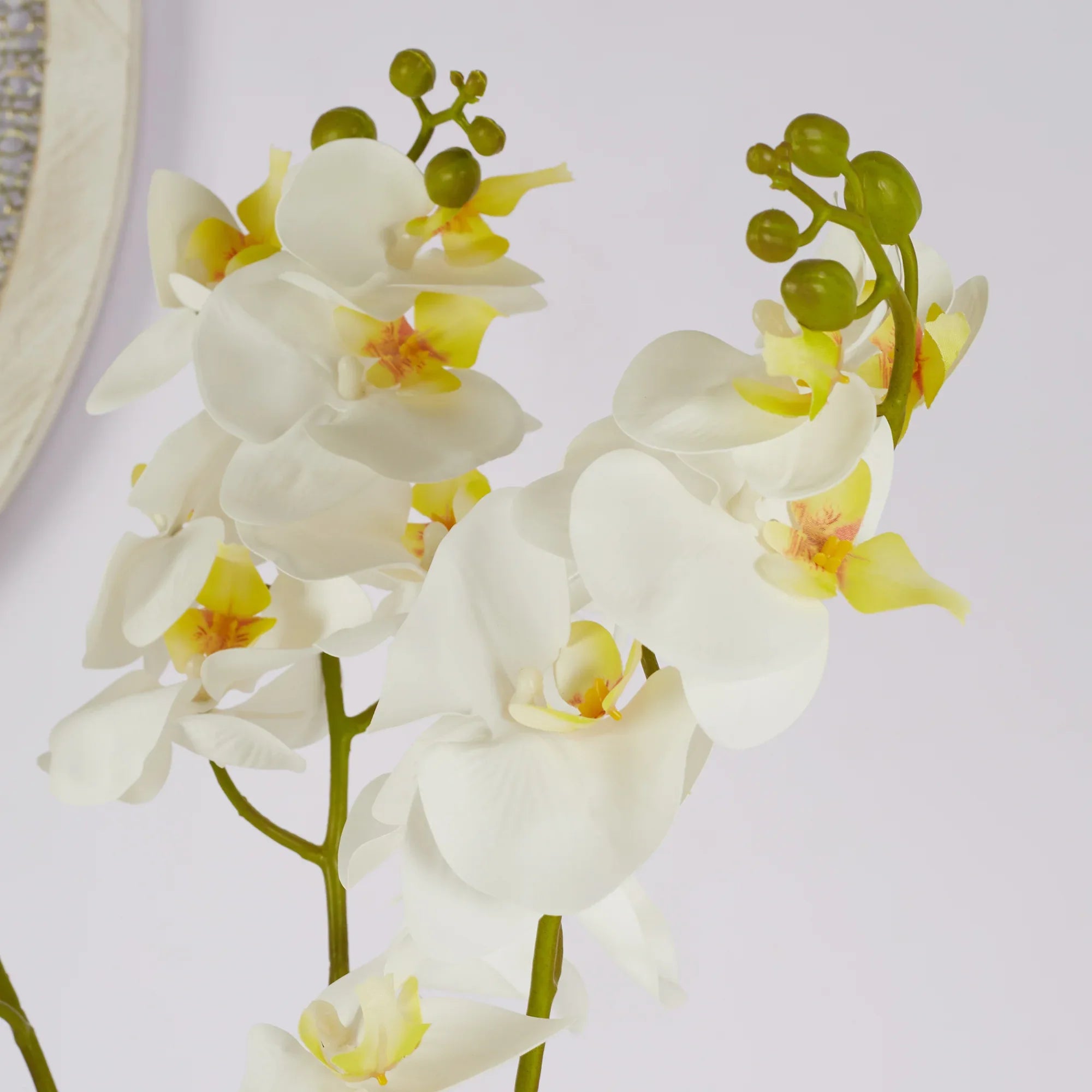 Ilana Artificial Orchid Potted Plant 55Cm in White Colour - HomeTown