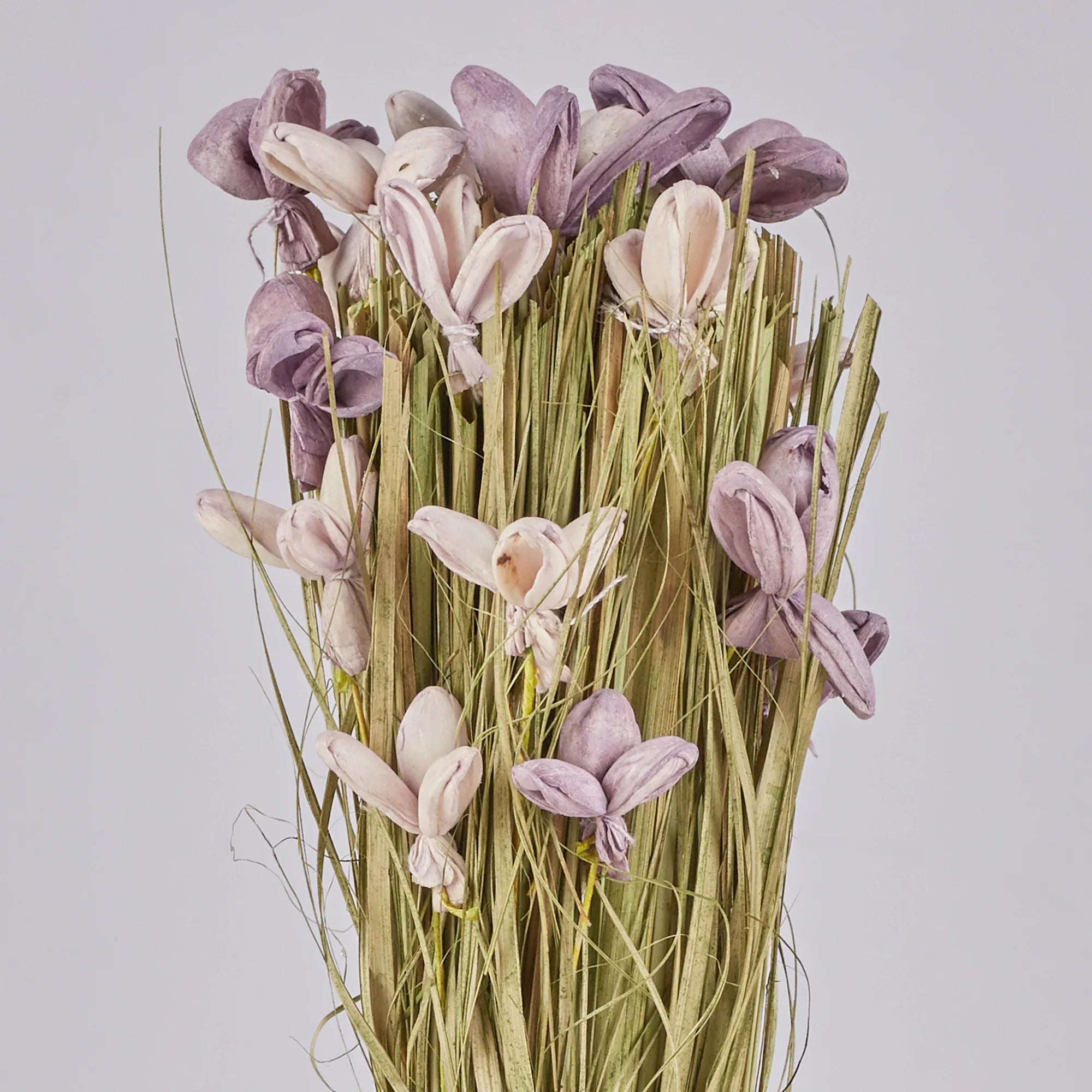 Fleur Dried Floral Arrangemet In Glass Jar 18 Cm in Purple Colour - HomeTown