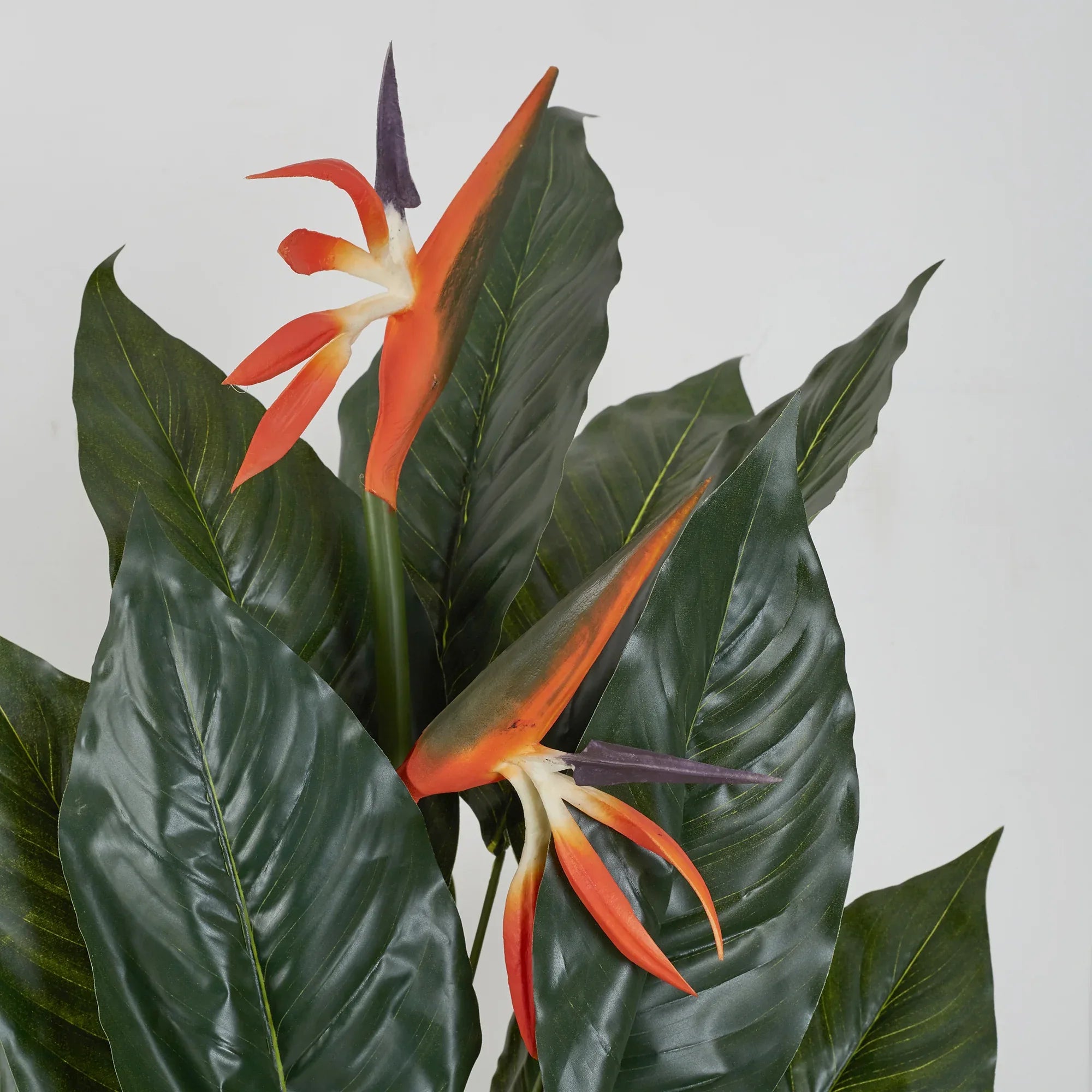 Ilana Artificial Paradise Bird Potted Plant 100Cm in Green Colour - HomeTown