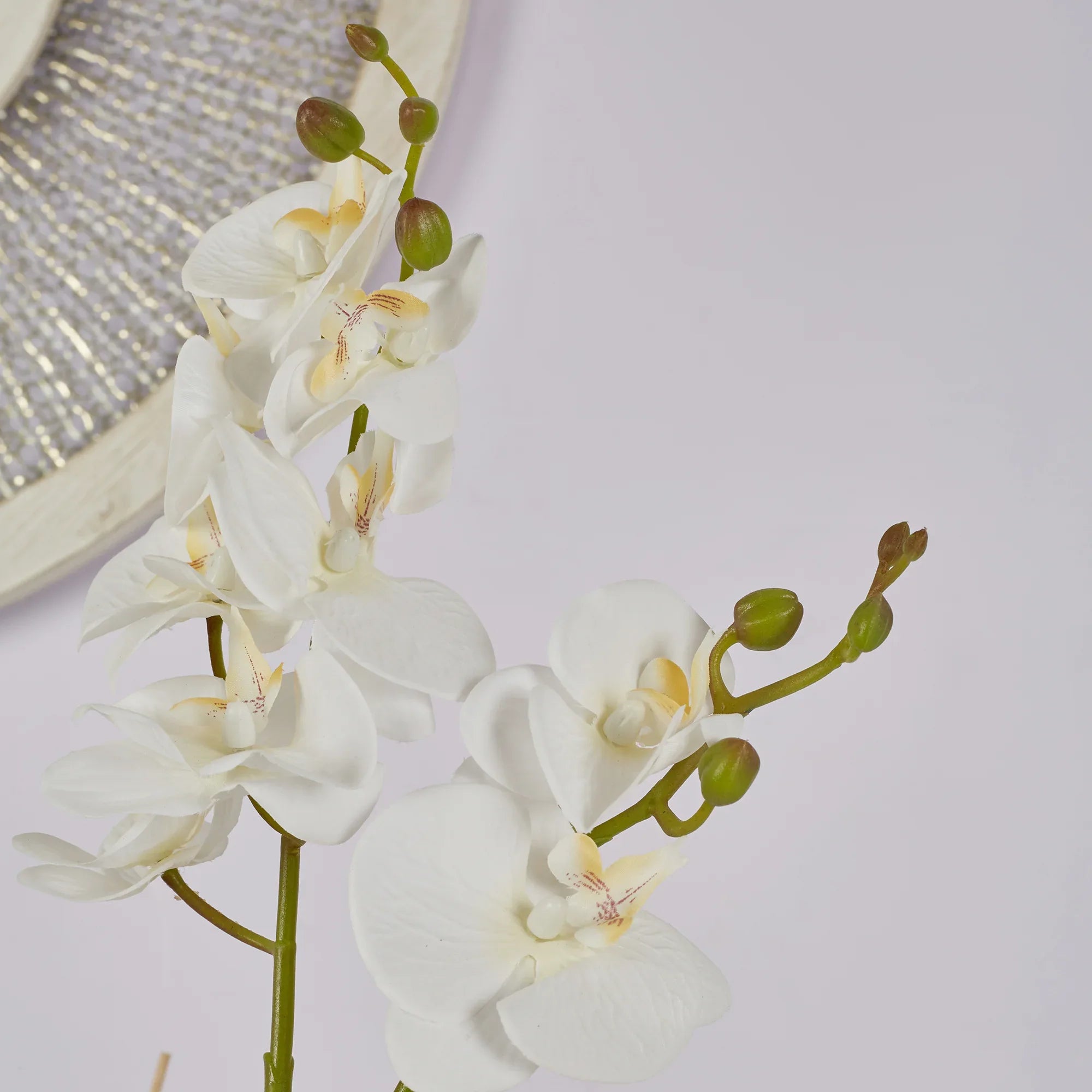 Ilana Artificial Orchid Potted Plant 40Cm in White Colour - HomeTown