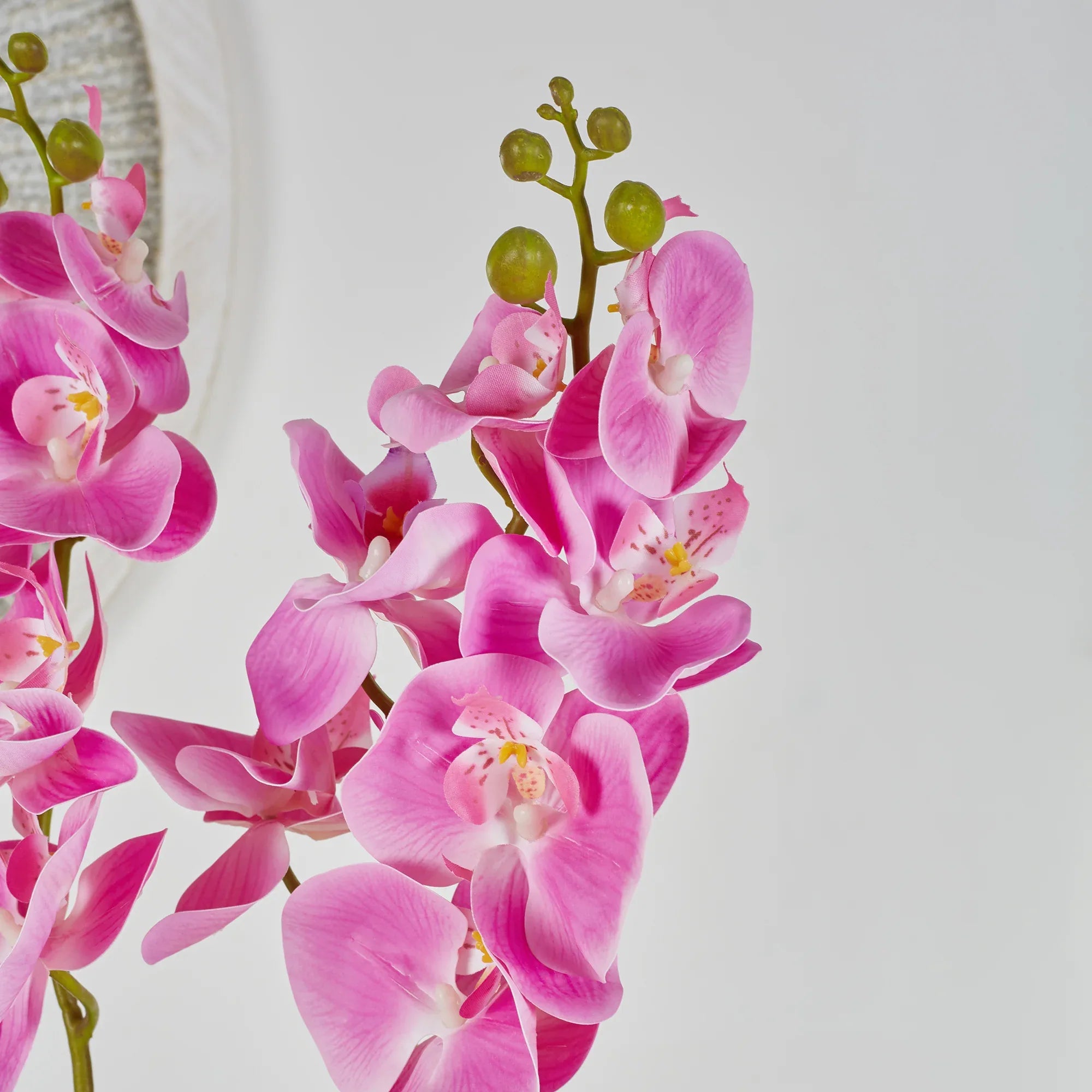 Ilana Artificial Orchid Potted Plant 55Cm in Pink Colour - HomeTown