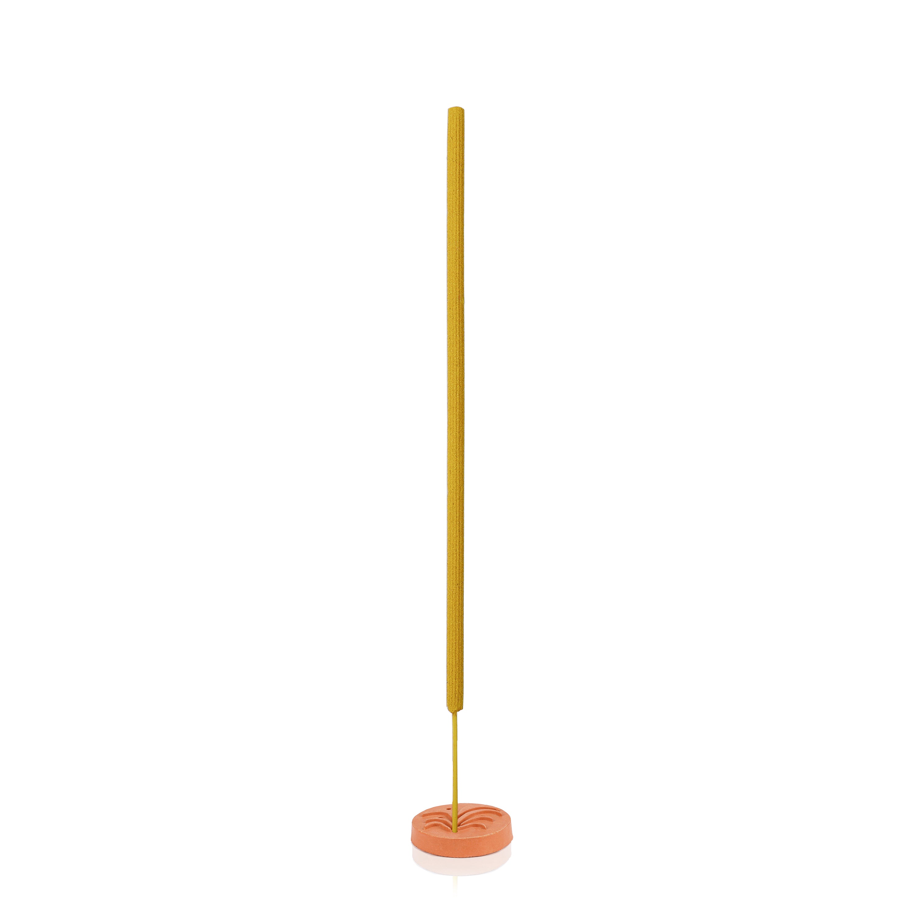 AMOGHA GARDEN INCENSE INGI0652CT