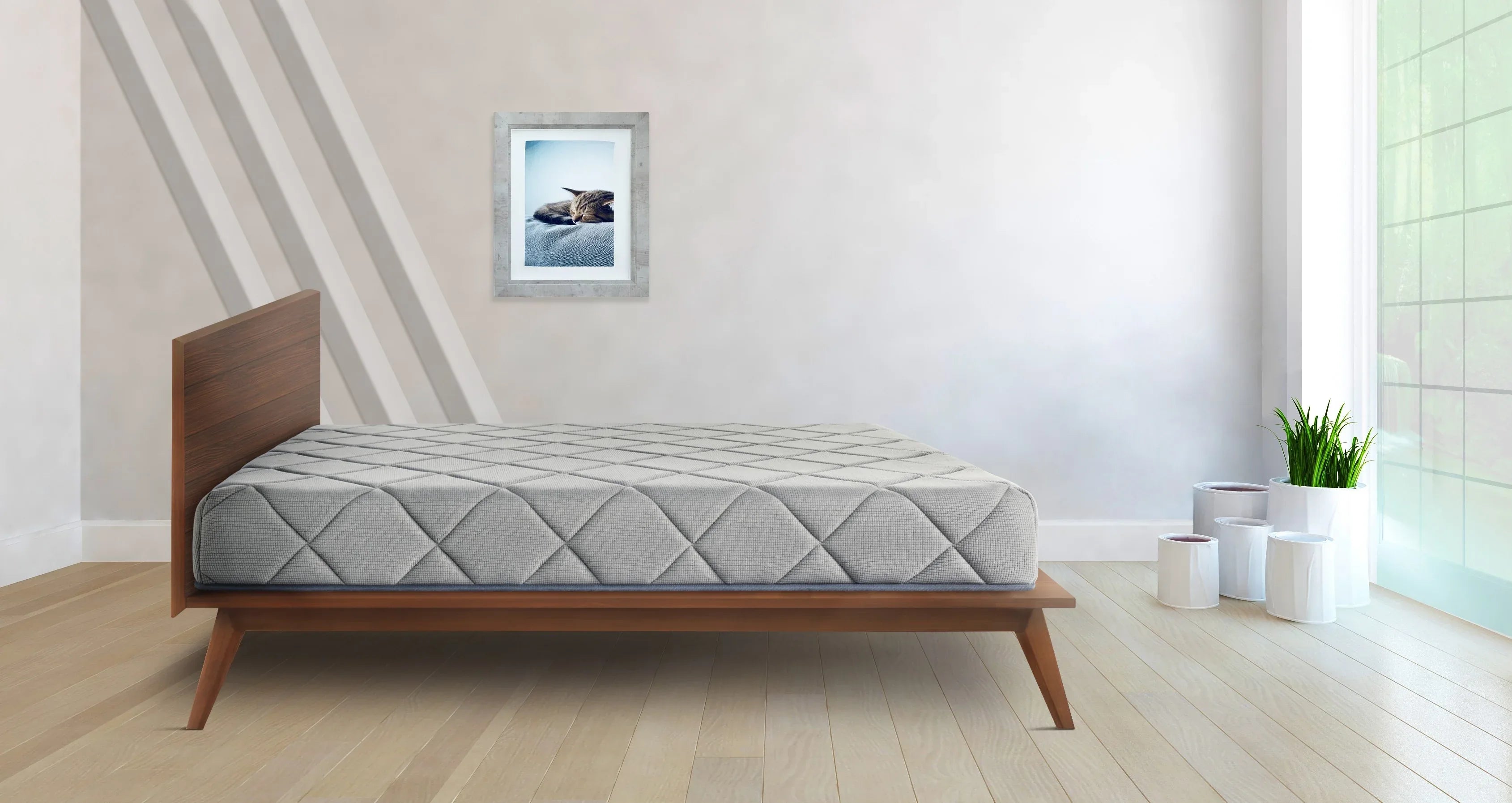 Spinesafe PU Foam Queen Mattress in Assorrted Colour - HomeTown
