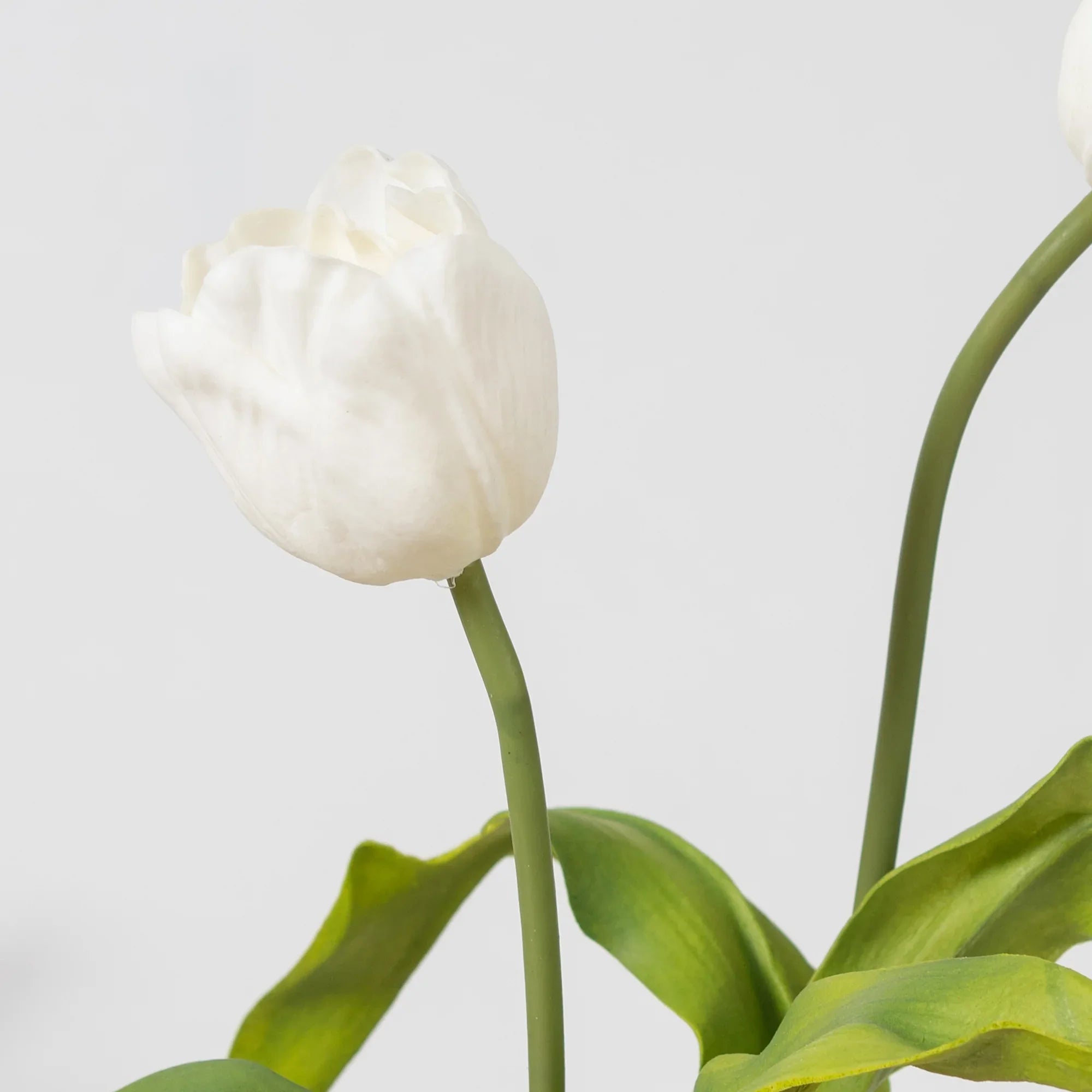 Elora White Tulip Faux Flower 52 Cm in White Colour - HomeTown