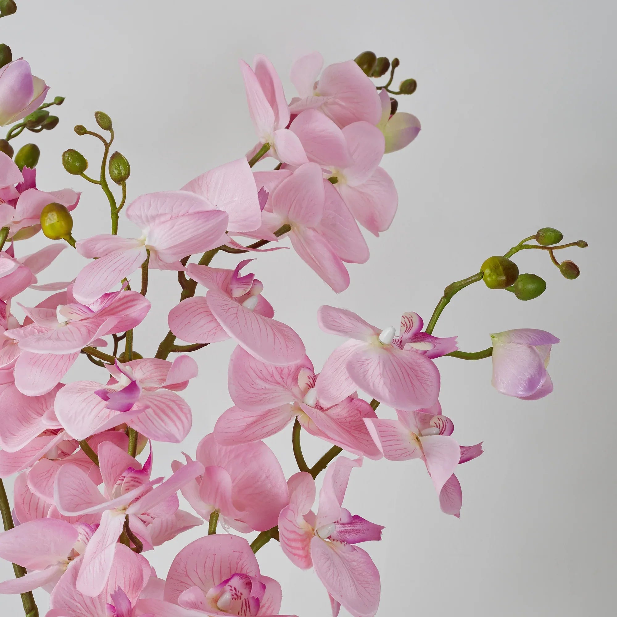 Ilana Artificial Orchid Potted Plant 75Cm in Pink Colour - HomeTown