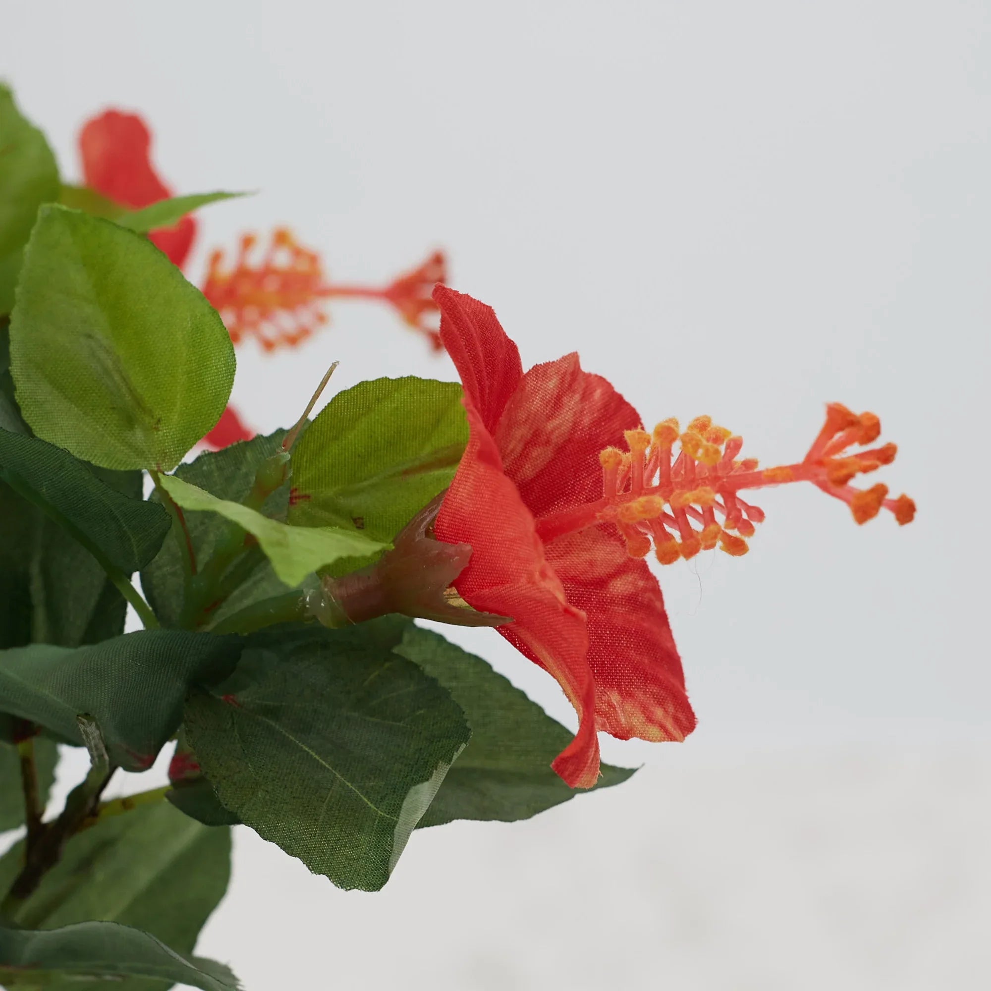 Ilana Faux Hibiscus Ceramic Potted Plant 43 Cm in Pink Colour - HomeTown