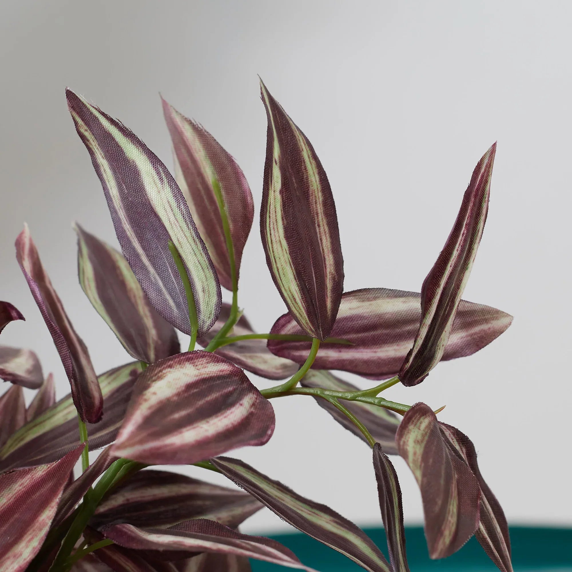 Ilana Faux Wandering Jew Ceramic Potted Plant 24 Cm in Green Colour - HomeTown