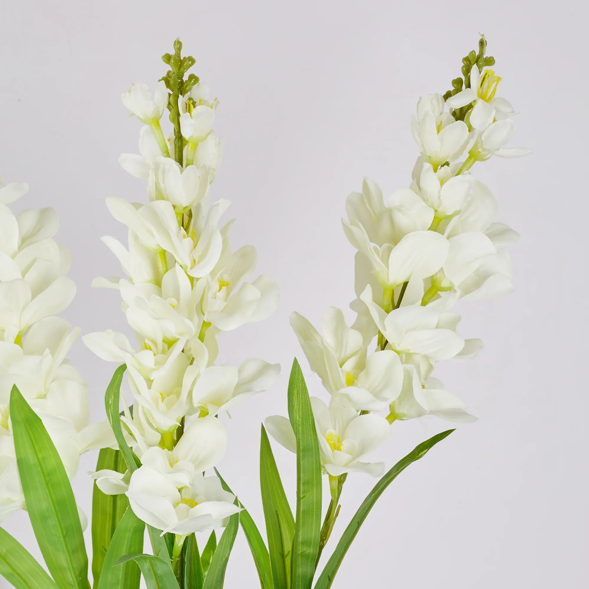 Ilana Artificial Cordate Potted Plant 90Cm in White Colour - HomeTown