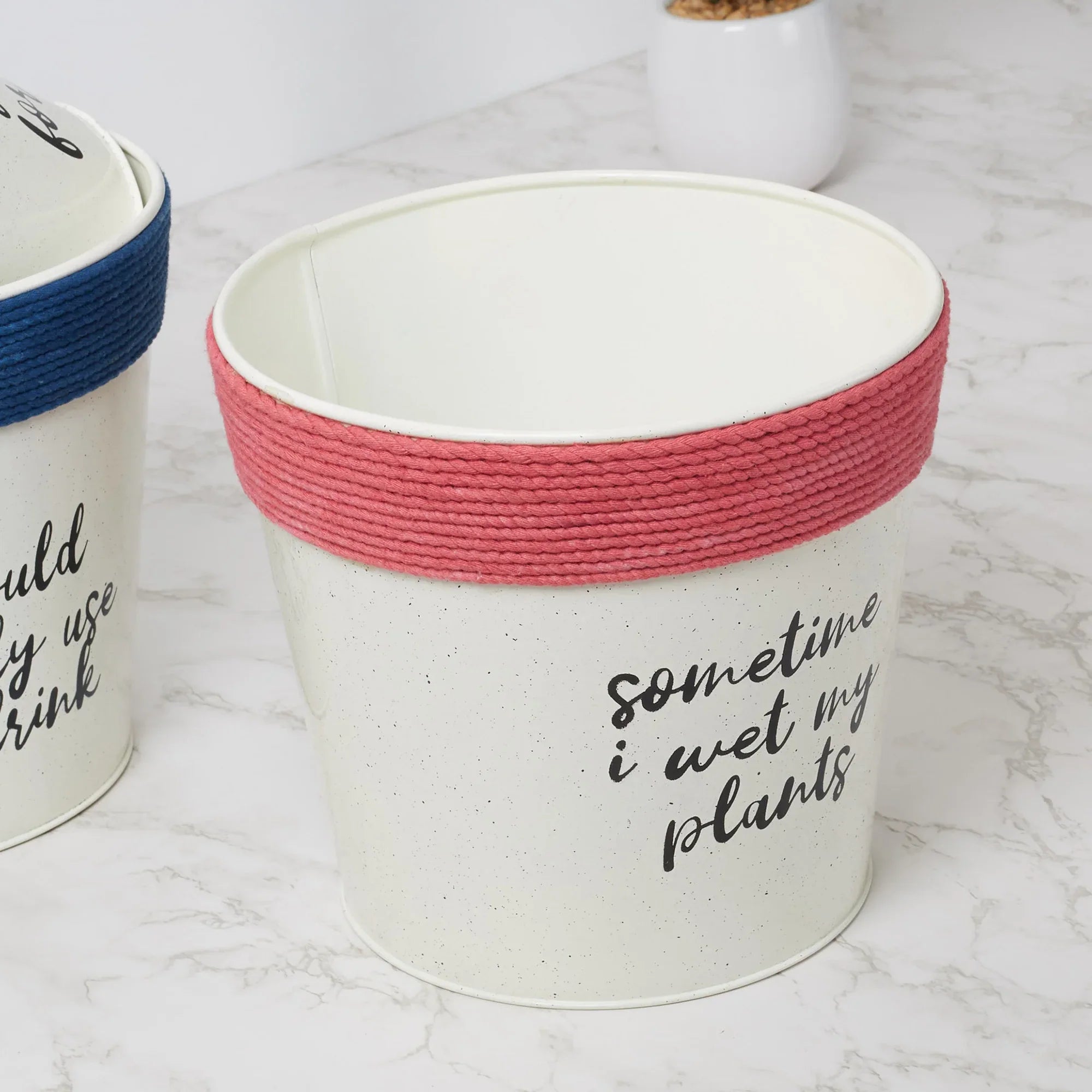 Pep Pop Metal Funky Quote Planter 19Cm in Off White & Fuchsia Colour - HomeTown