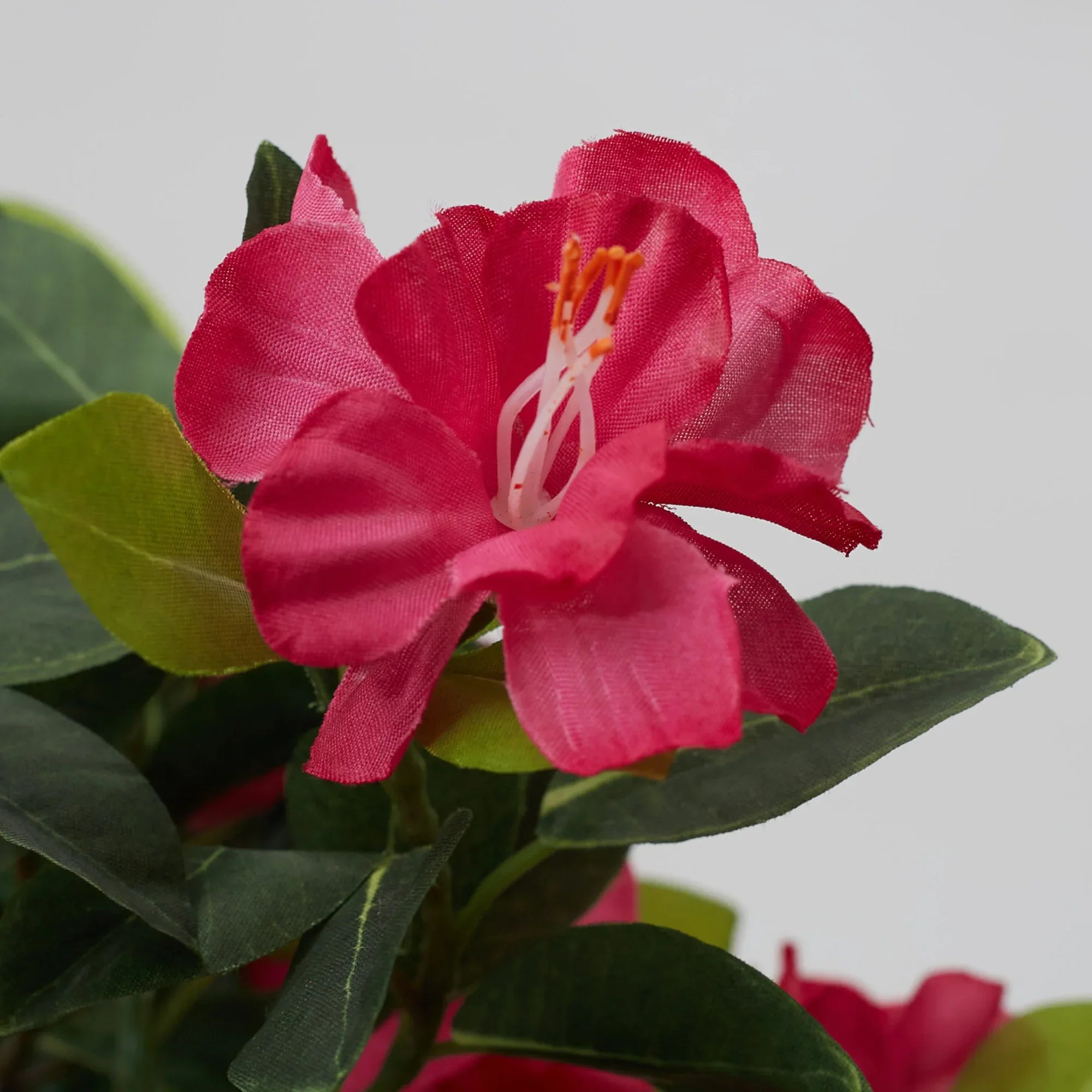 Ilana Faux Rhodendendron Ceramic Potted Plant 43 Cm in Pink Colour - HomeTown