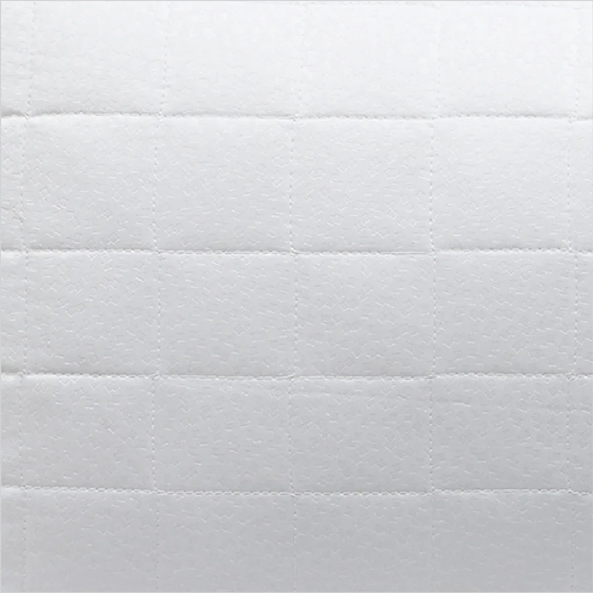 Luxuria Pillow 46X68 Cm in White Colour by Living Essence - HomeTown