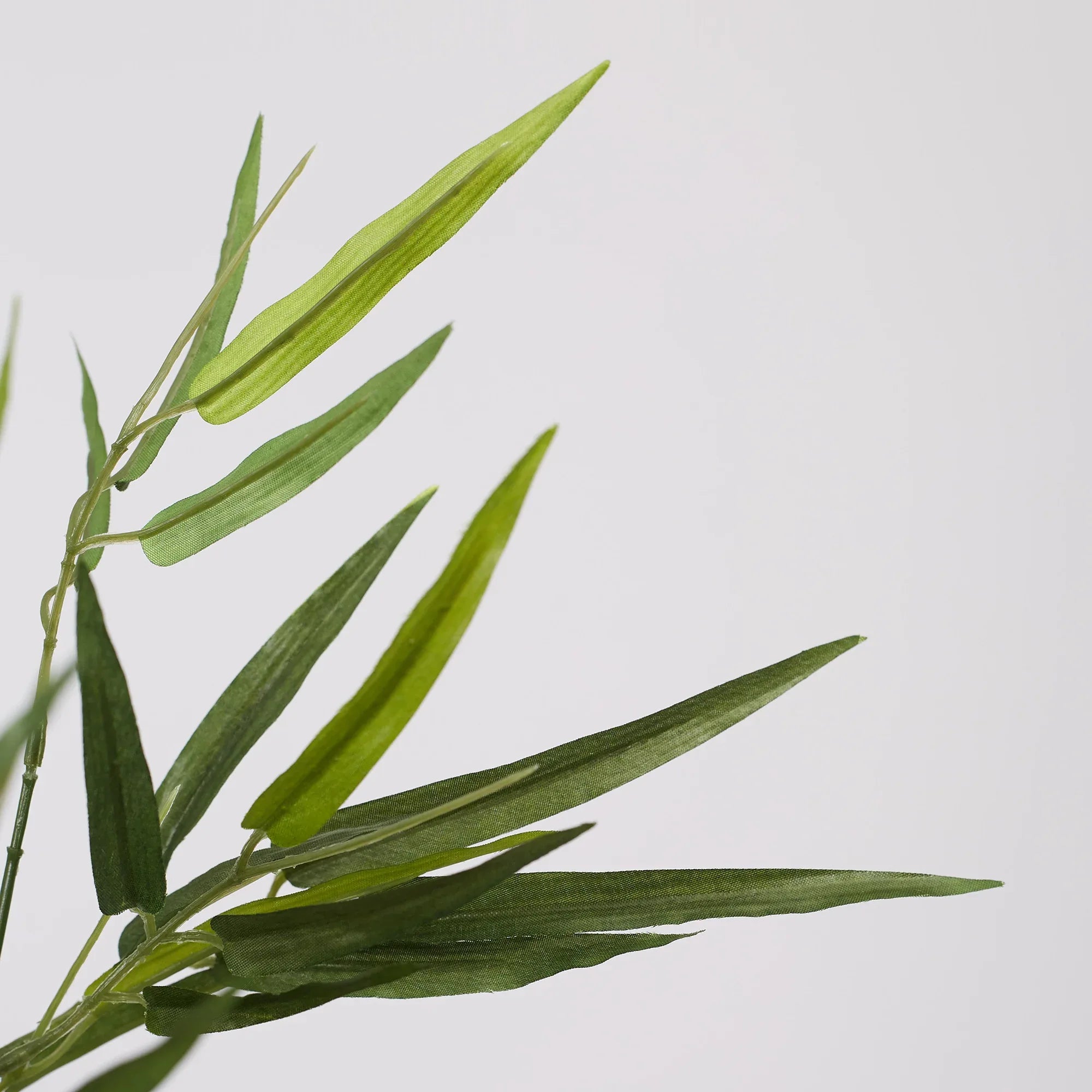 Ilana Faux Bamboo Potted Plant 103 Cm in Green Colour - HomeTown