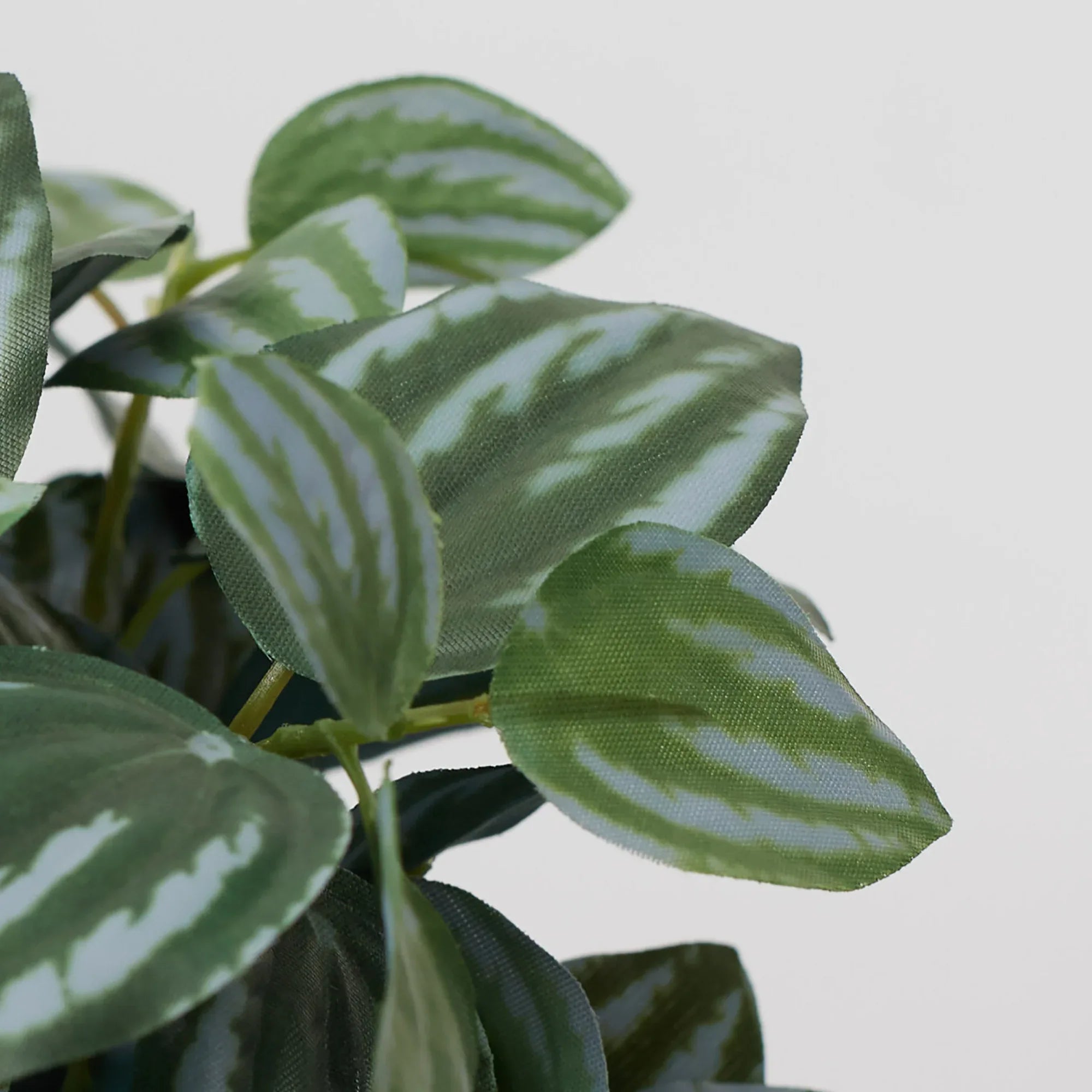 Ilana Faux Peperomia Ceramic Potted Plant 20 Cm in Green Colour - HomeTown