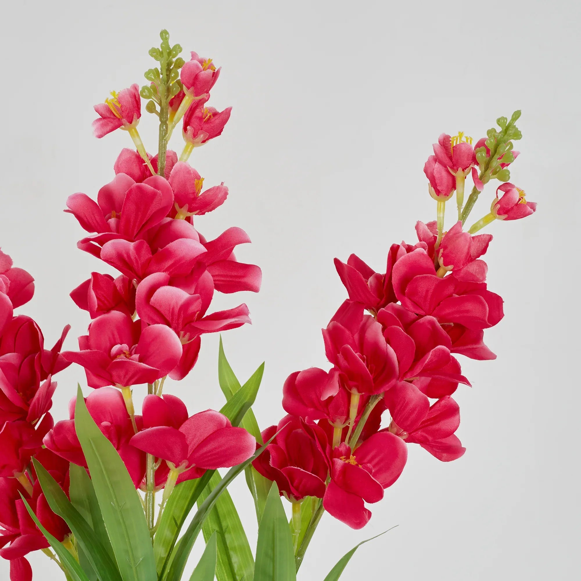 Ilana Artificial Cordate Potted Plant 90Cm in Pink Colour - HomeTown