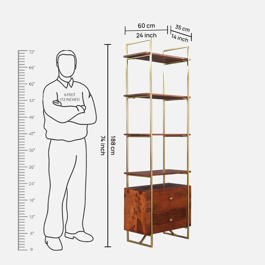 Alviya Book Shelves in Natural & Gold Colour - HomeTown