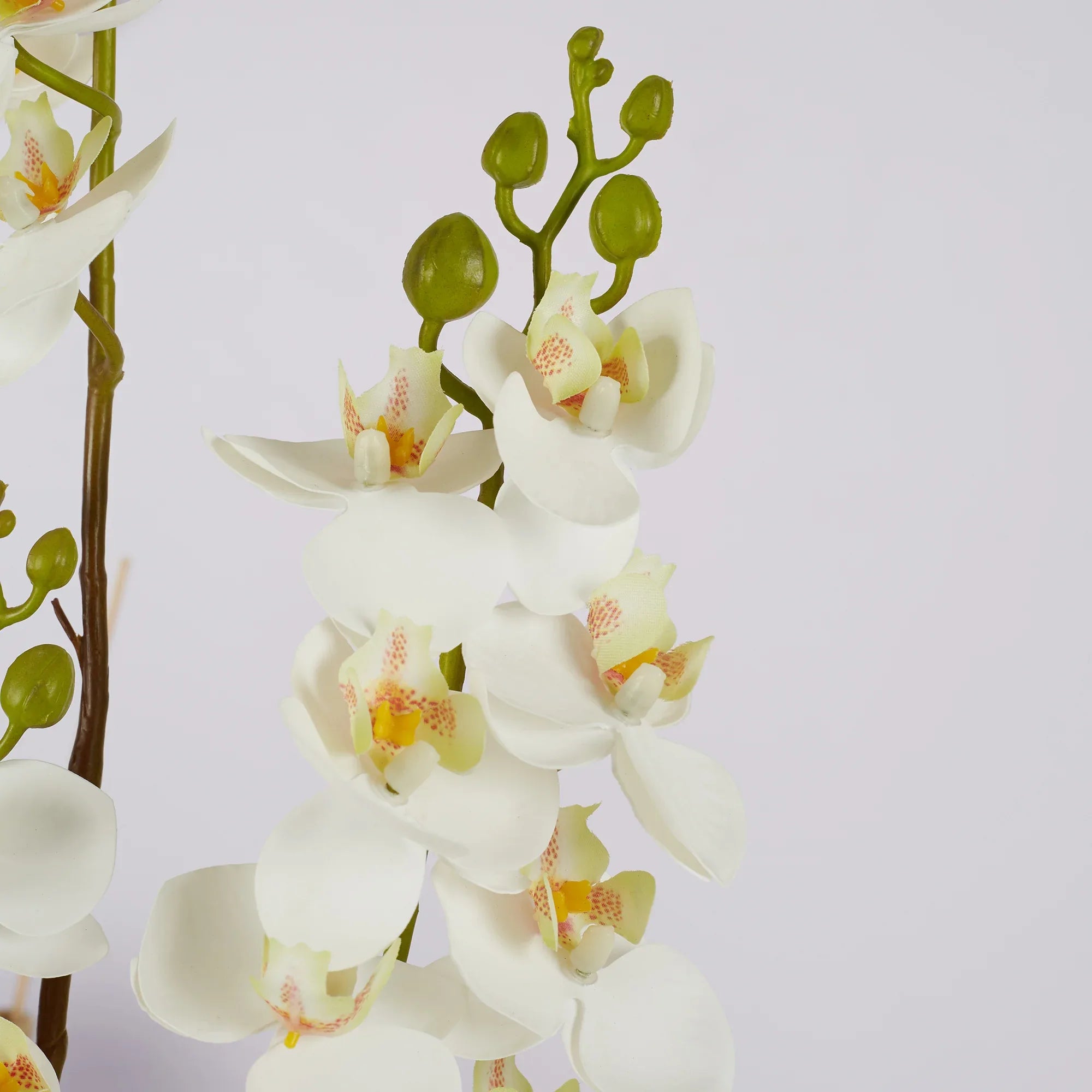 Ilana Artificial Orchid Potted Plant 45Cm in White Colour - HomeTown