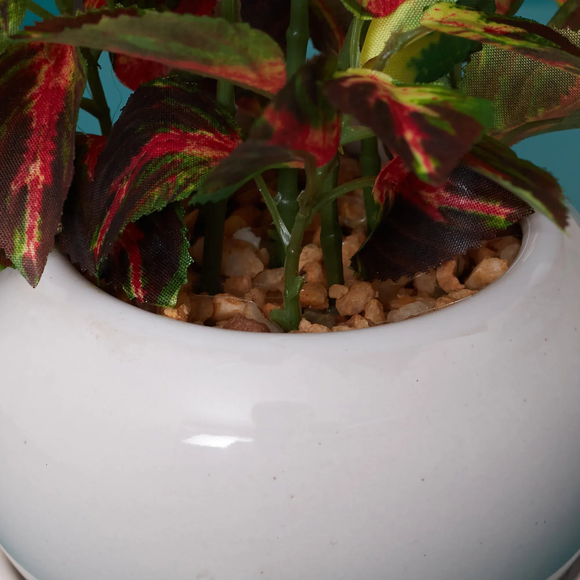 Ilana Faux Coleus Ceramic Potted Plant 24 Cm in Green Colour - HomeTown