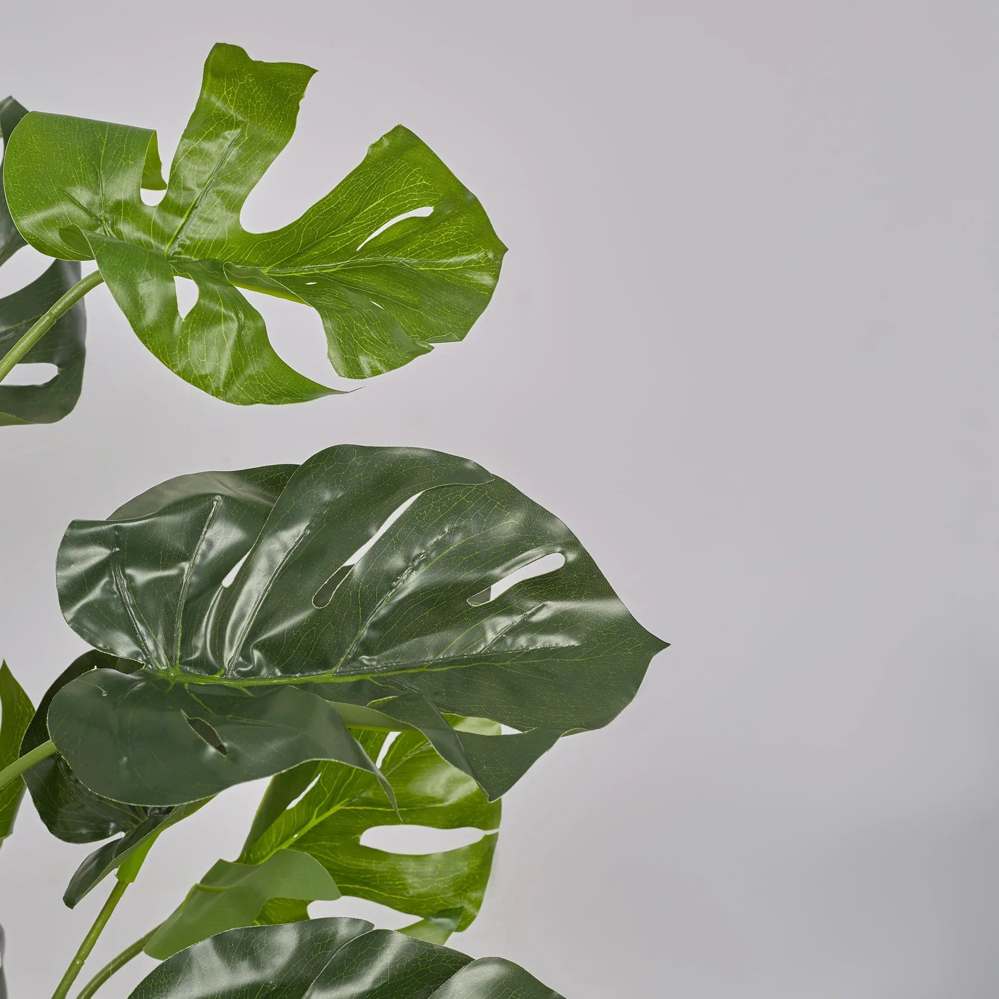 Ilana Artificial Monstera Potted Plant 120Cm in Green Colour - HomeTown