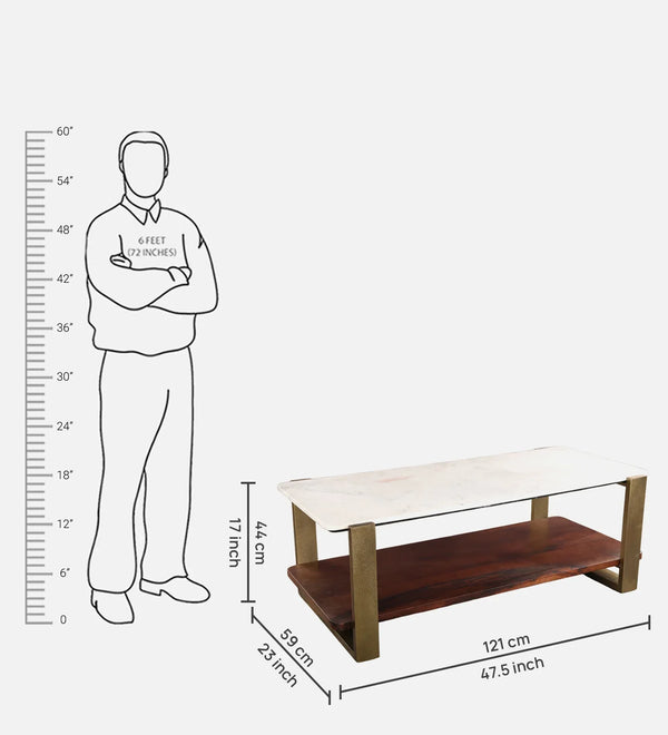 Ellis Marble Top Center Table in White & Walnut Colour dimensions