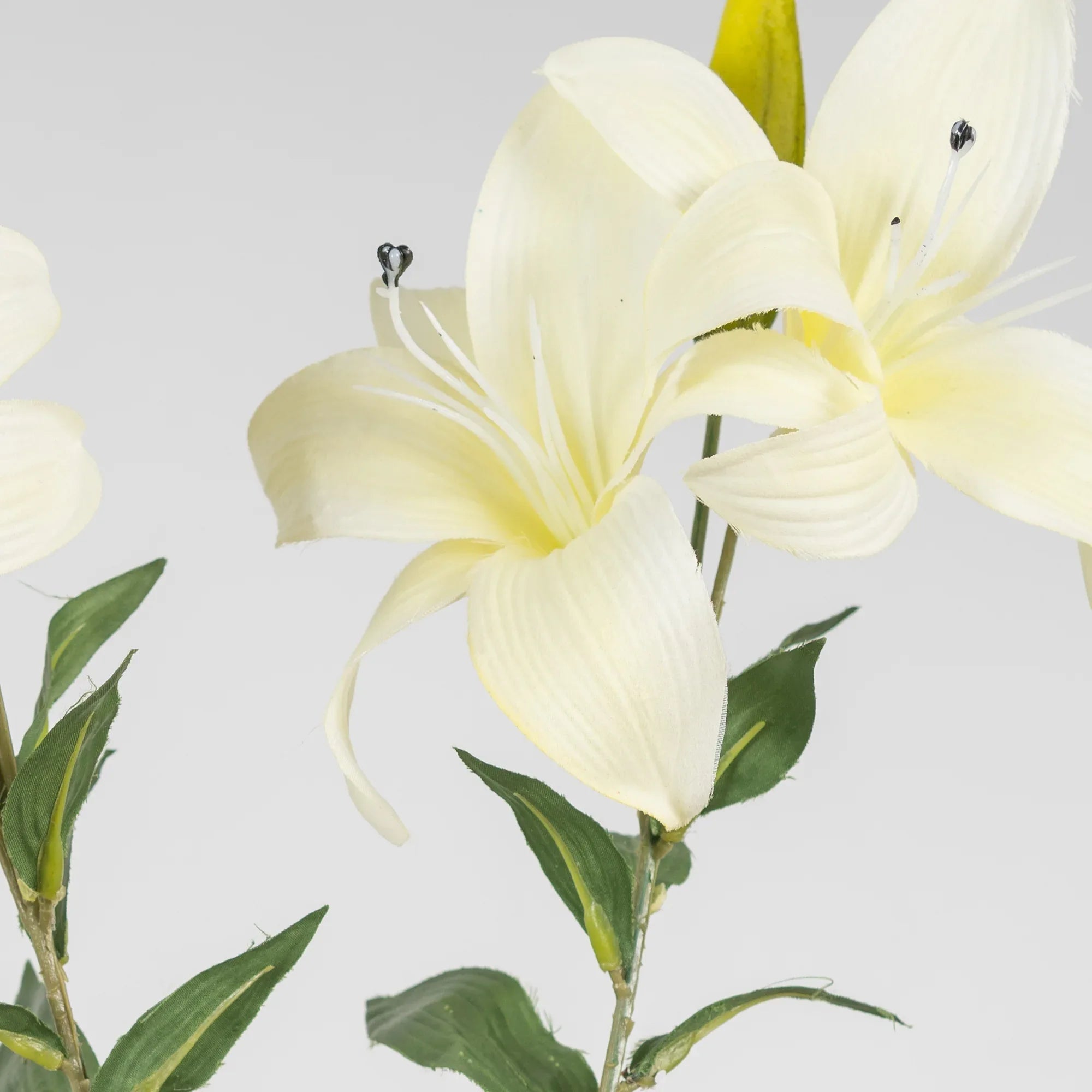 Elora White Lily Faux Flower 73 Cm in White Colour - HomeTown